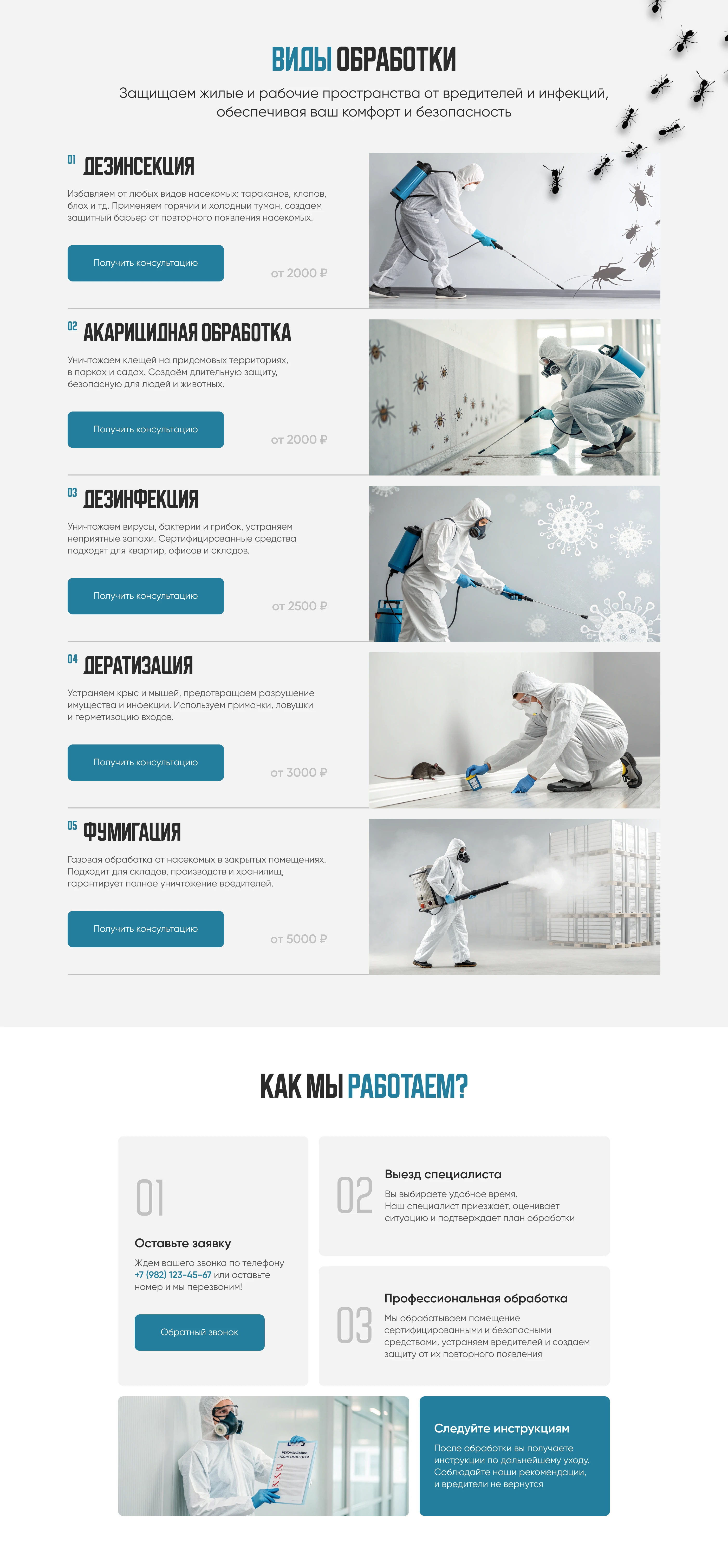 Landing page | Лендинг дезинфекция, дезинсекция — Изображение №4 — Интерфейсы на Dprofile