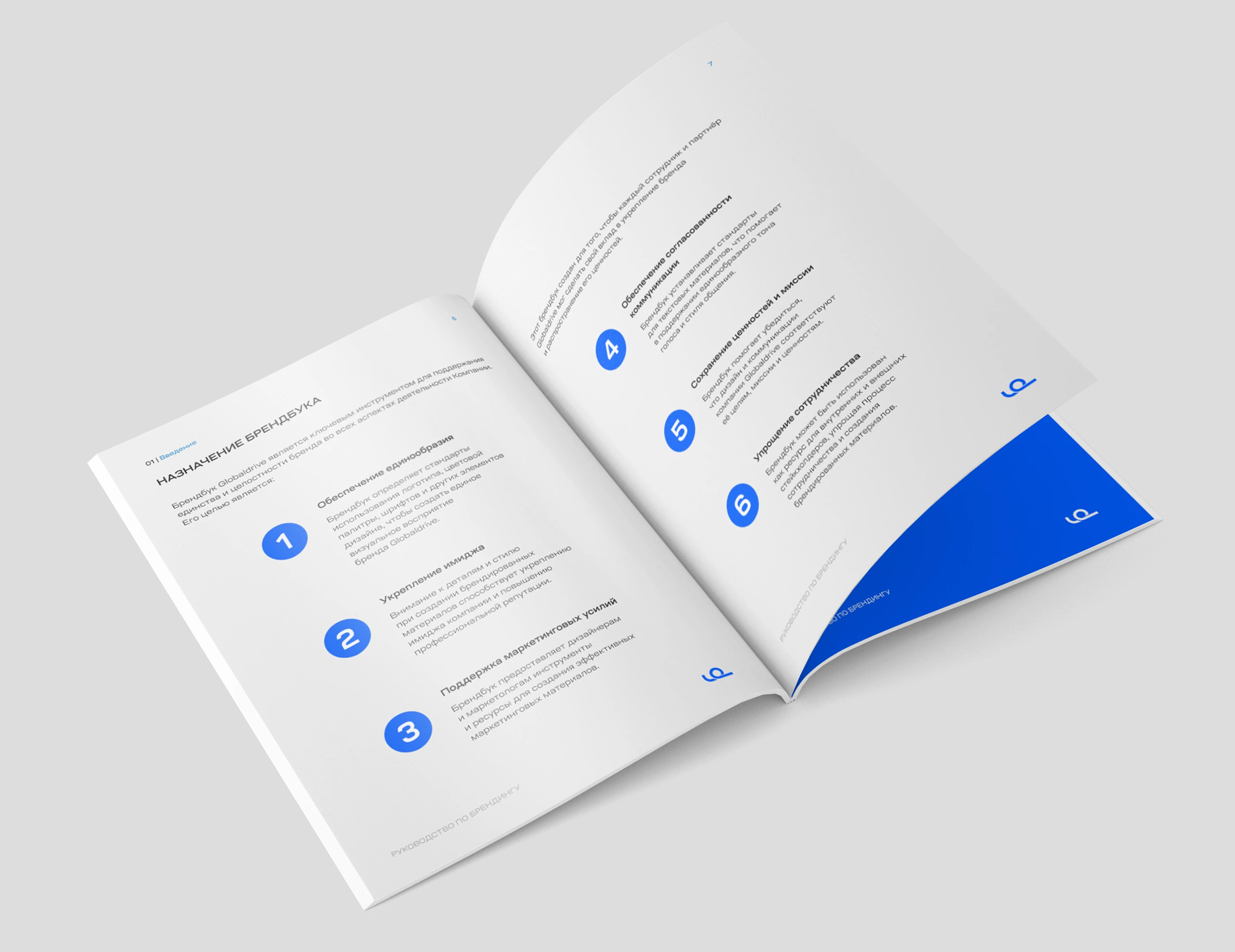 Brand Manual | Brandbook | Брендбук — Изображение №6 — Брендинг на Dprofile