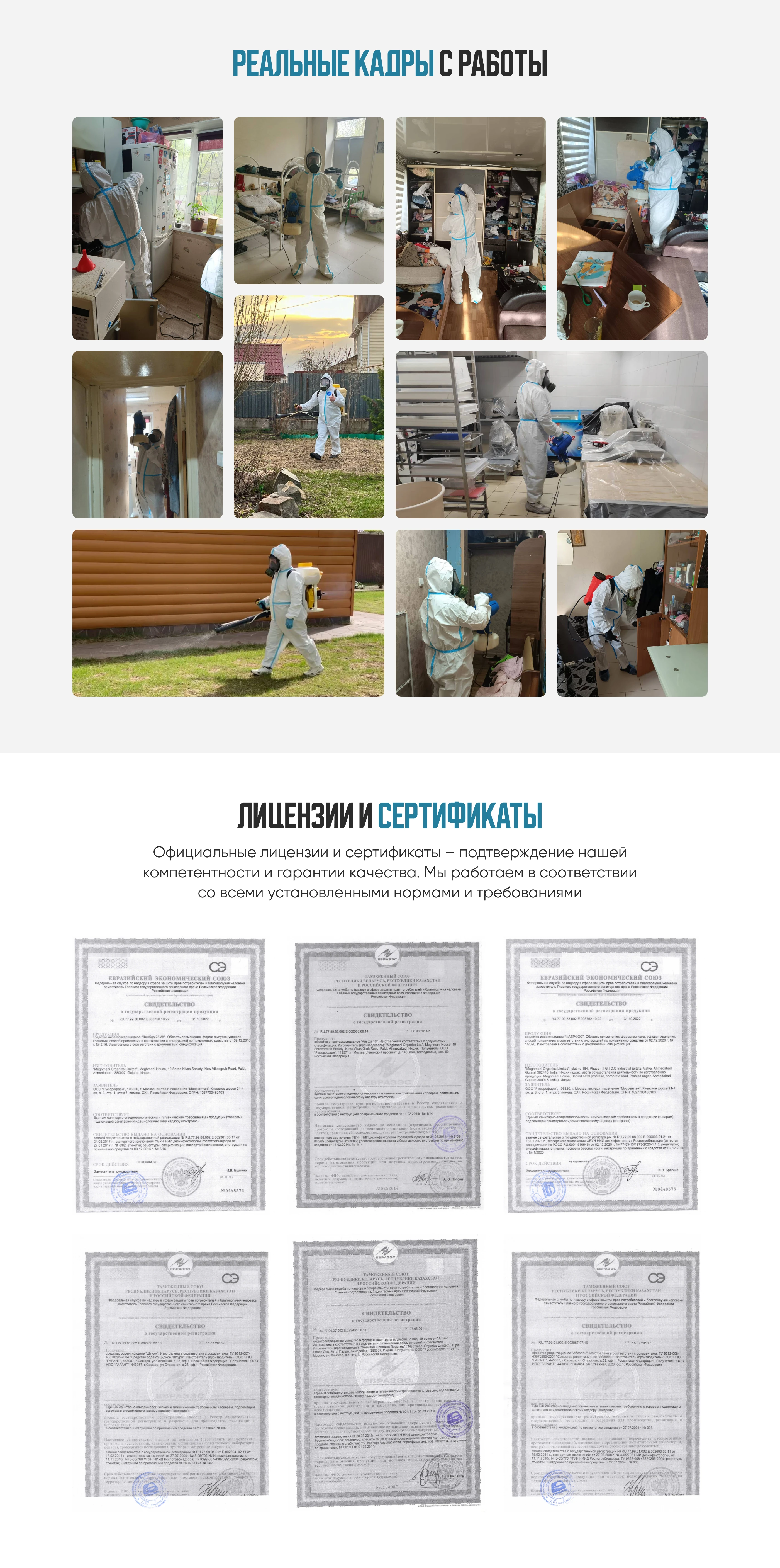 Landing page | Лендинг дезинфекция, дезинсекция — Изображение №5 — Интерфейсы на Dprofile