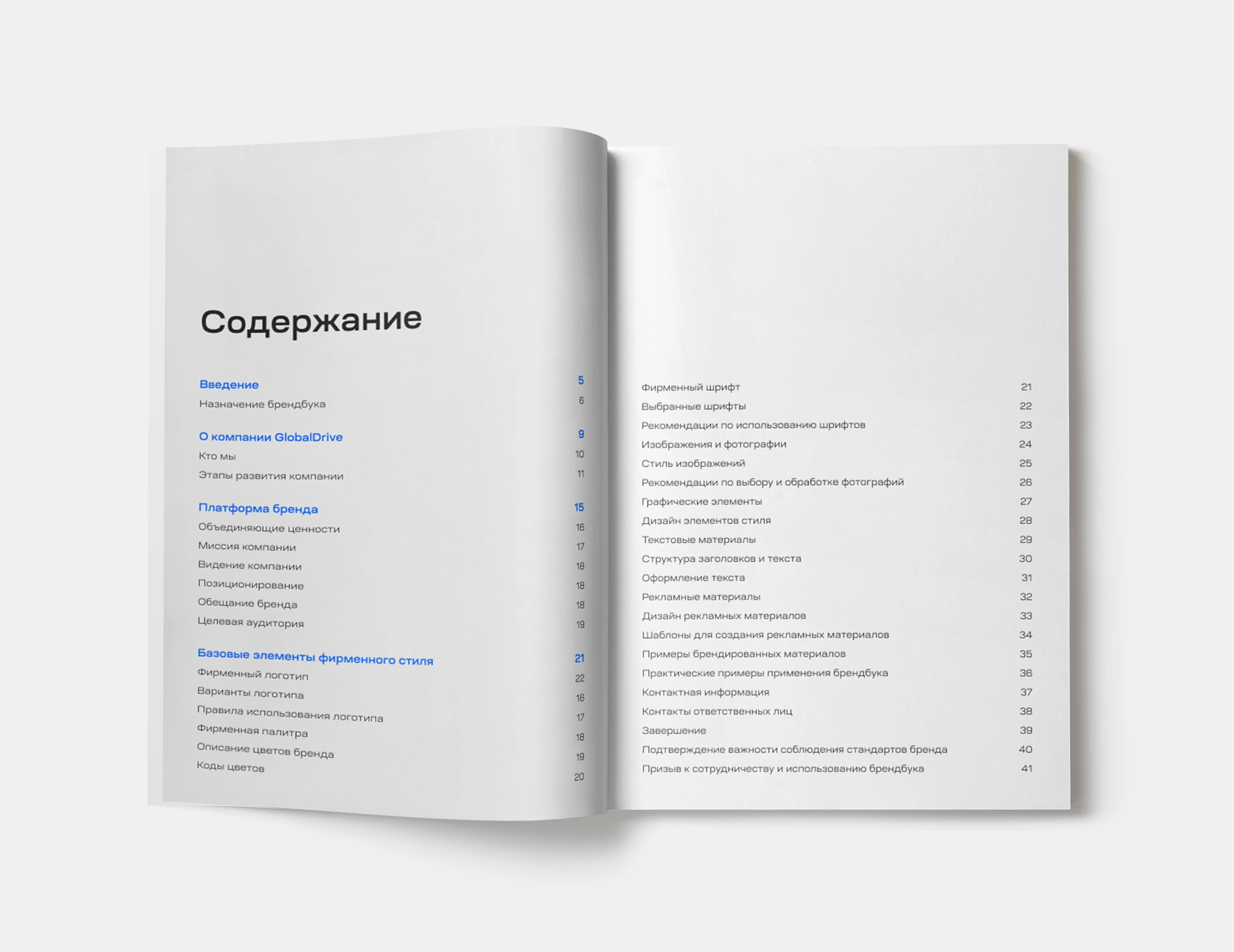 Brand Manual | Brandbook | Брендбук — Изображение №5 — Брендинг на Dprofile