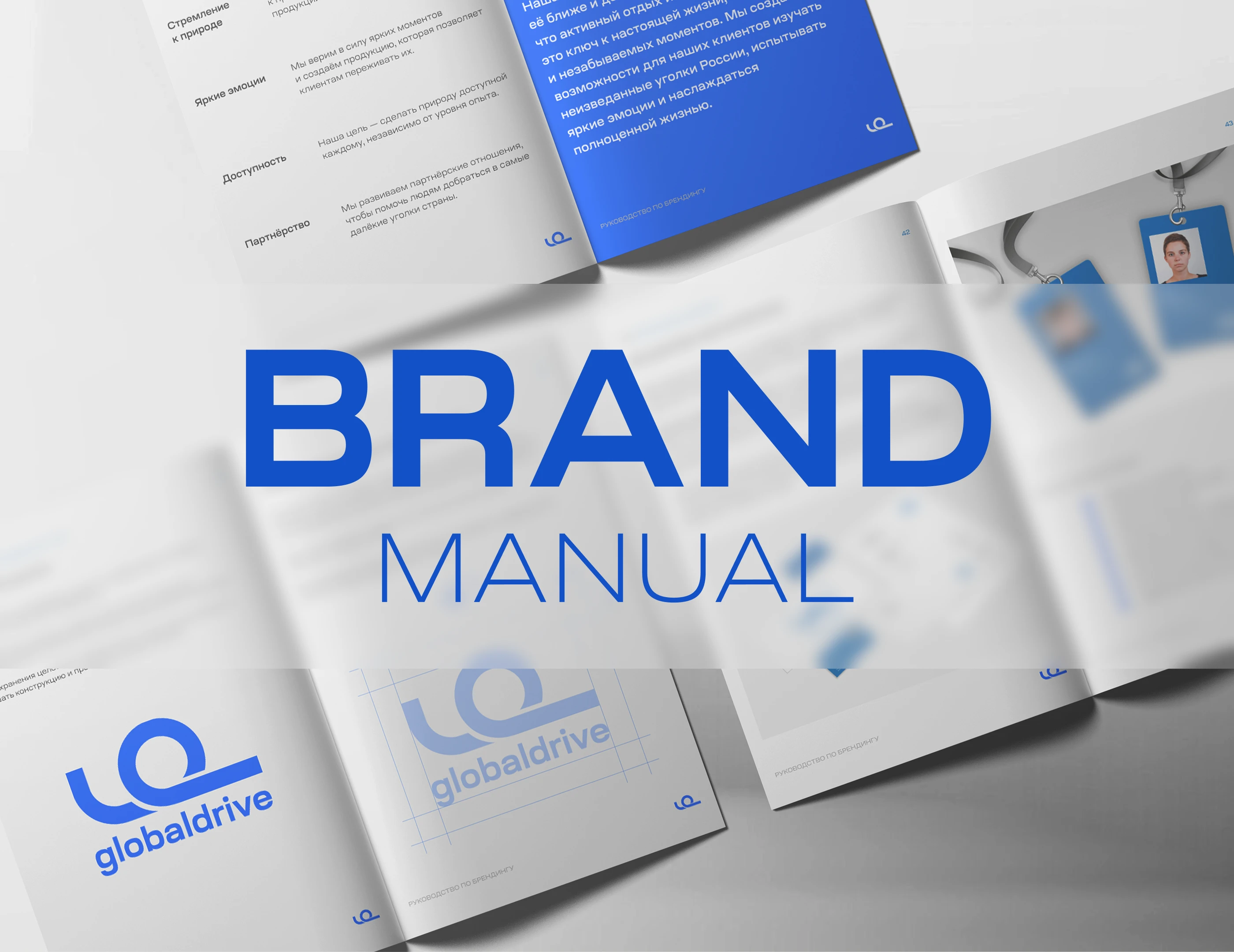 Brand Manual | Brandbook | Брендбук — Изображение №1 — Брендинг на Dprofile