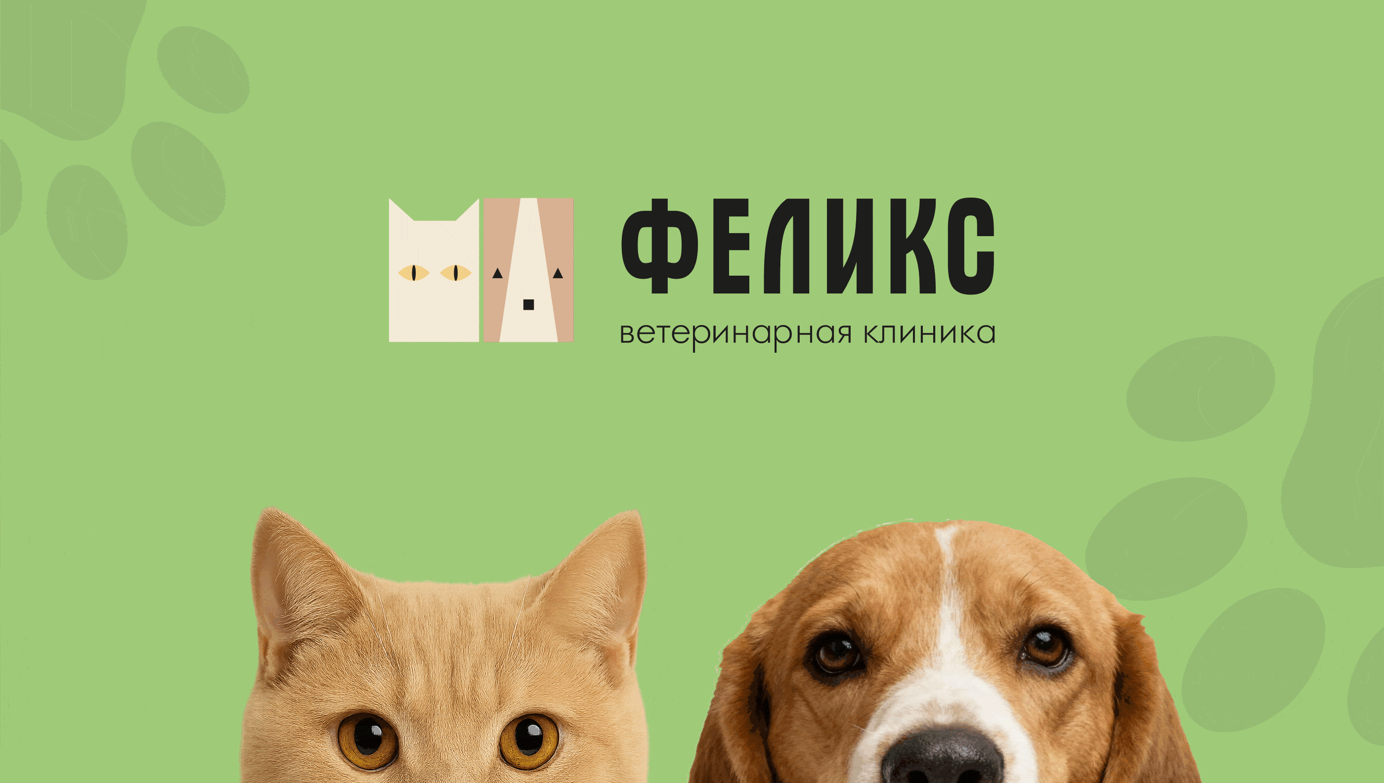 Фирменный стиль |  Вет клиника "Фелик"с — Изображение №1 — Брендинг на Dprofile