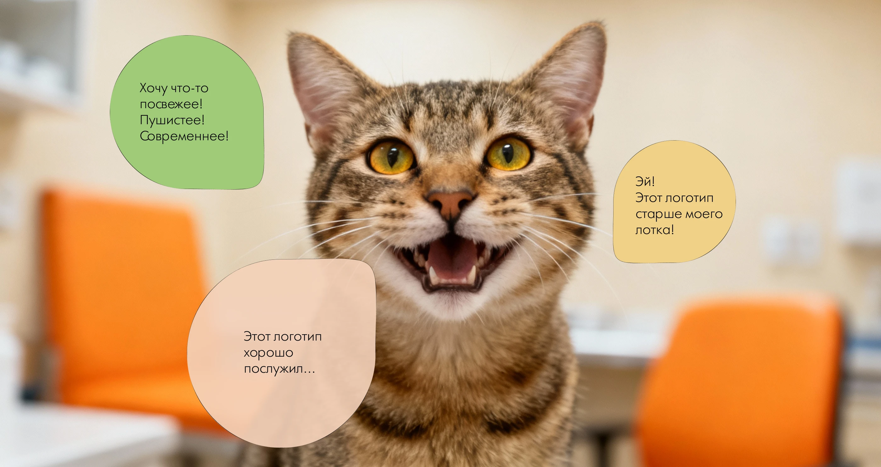 Фирменный стиль |  Вет клиника "Фелик"с — Изображение №3 — Брендинг на Dprofile