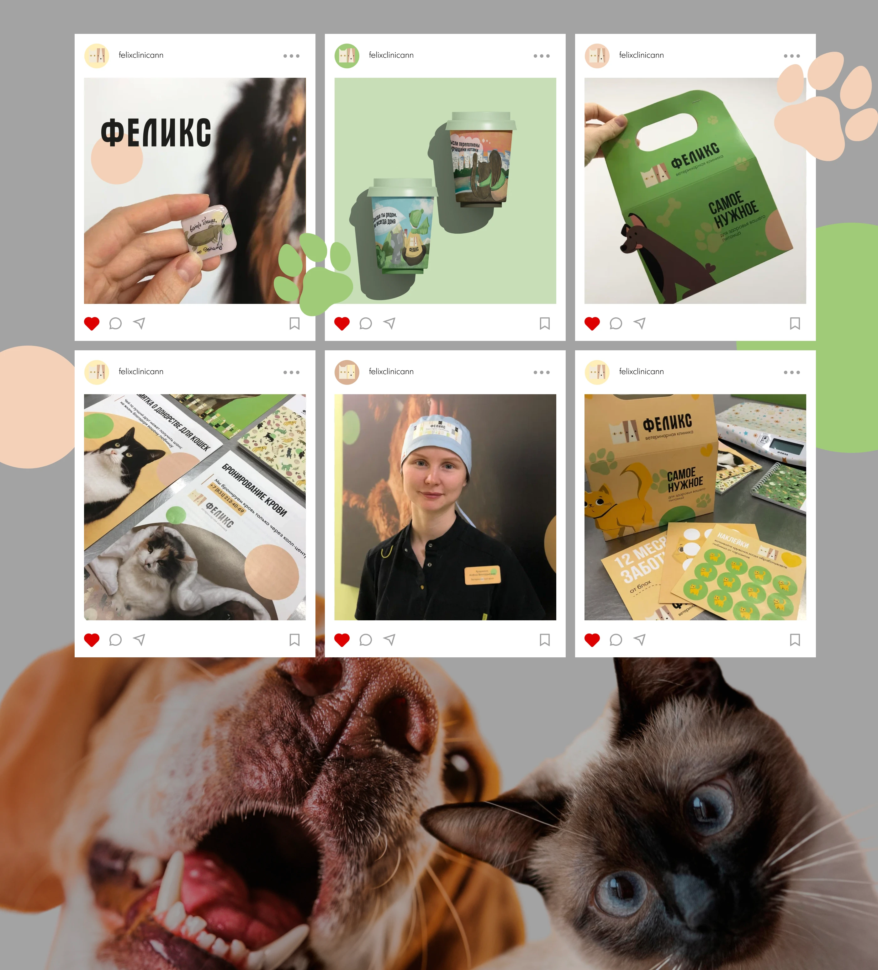 Фирменный стиль |  Вет клиника "Фелик"с — Изображение №17 — Брендинг на Dprofile