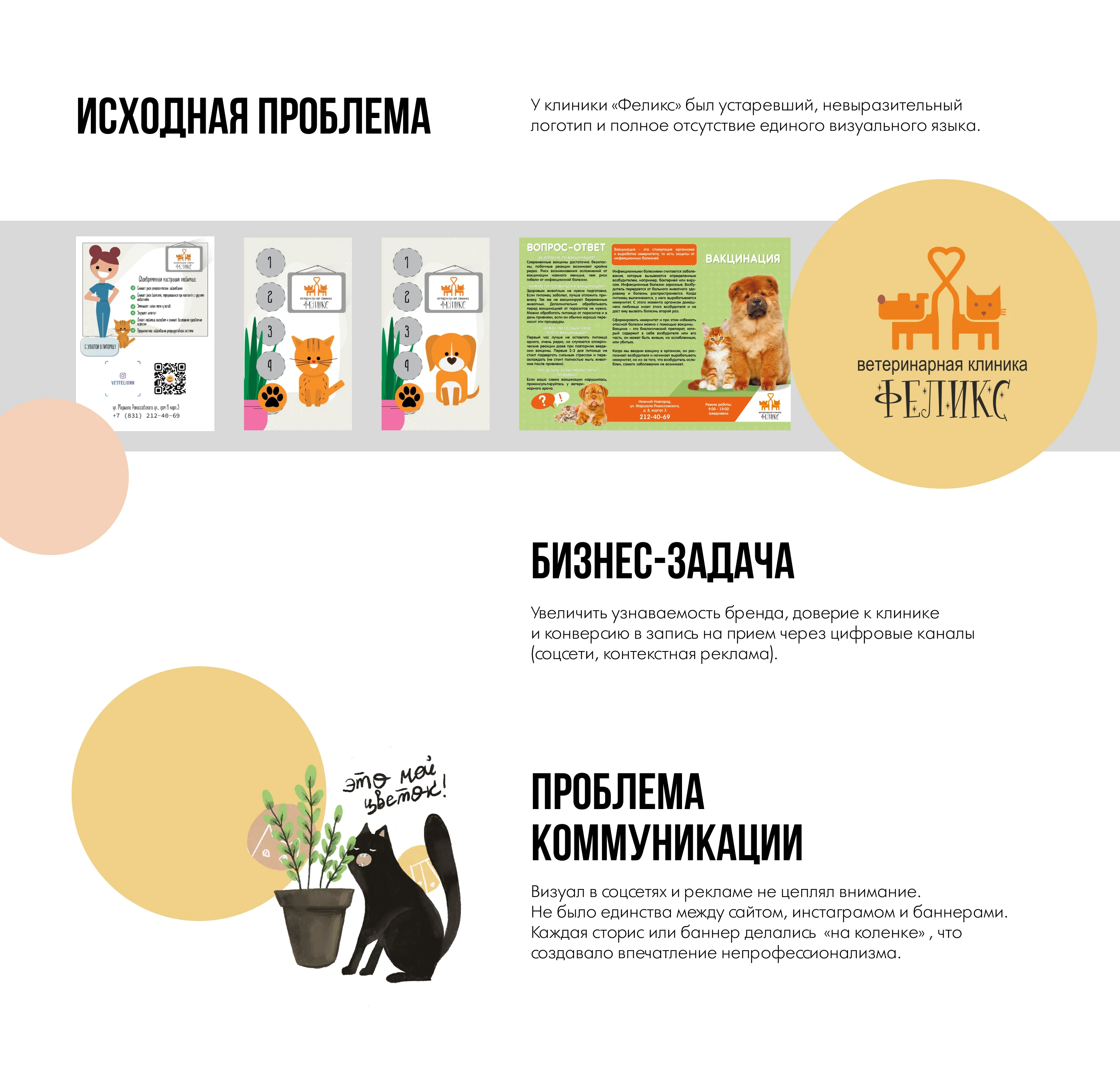 Фирменный стиль |  Вет клиника "Фелик"с — Изображение №2 — Брендинг на Dprofile