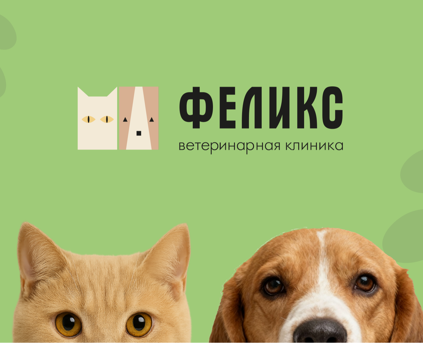 Фирменный стиль |  Вет клиника "Фелик"с — Брендинг на Dprofile