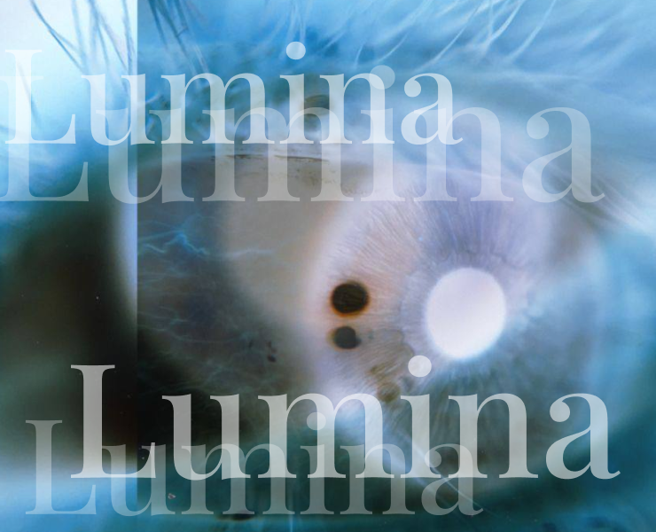 Lumina. See deeeper, work smarter на Dprofile