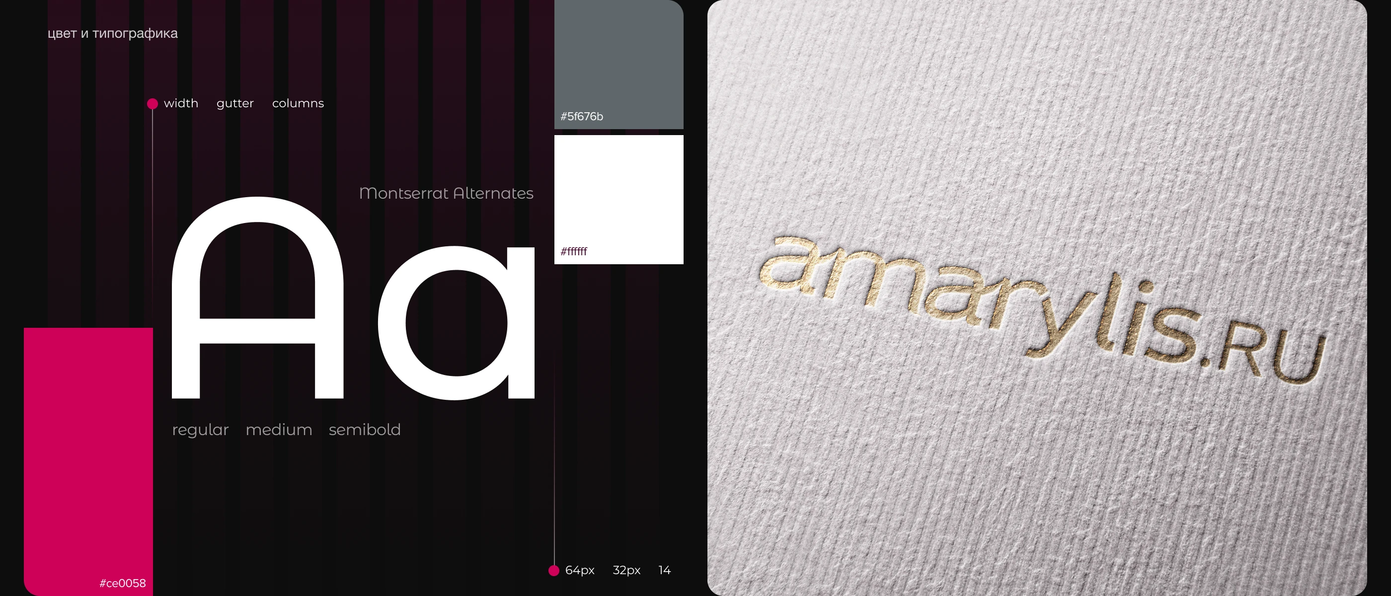 Amarylis — Изображение №2 — Интерфейсы, Брендинг на Dprofile