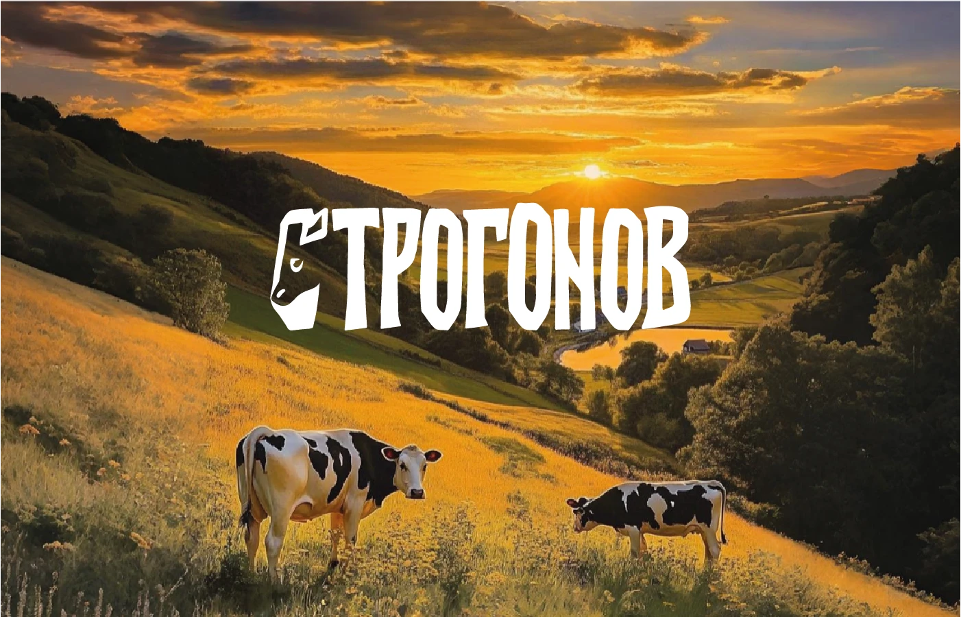 СТРОГОНОВ — Изображение №1 — Брендинг на Dprofile