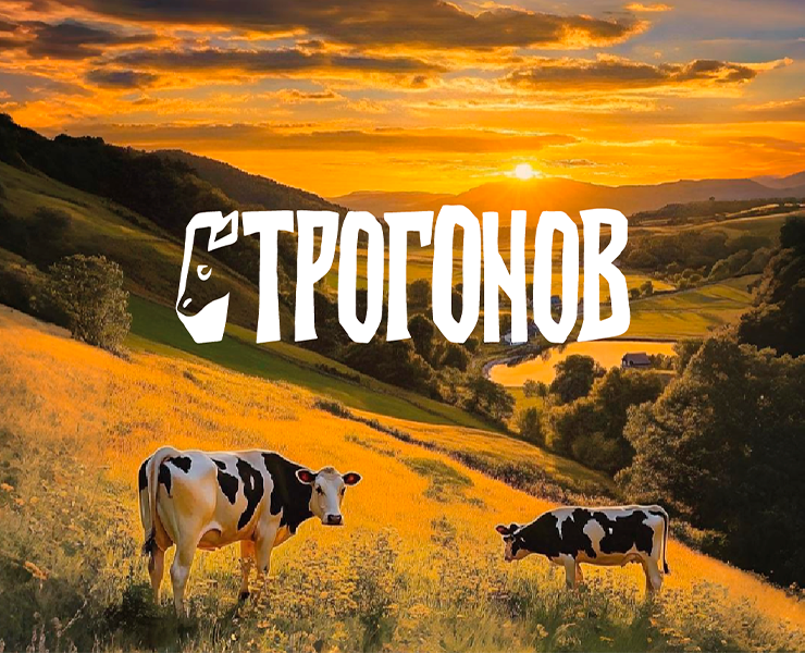СТРОГОНОВ на Dprofile