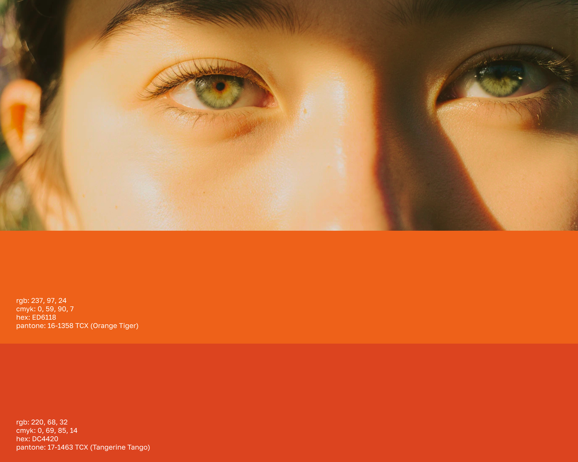 Дизайн концепт - СОЛНЦЕ - природная косметика — Изображение №4 — Брендинг, Графика на Dprofile