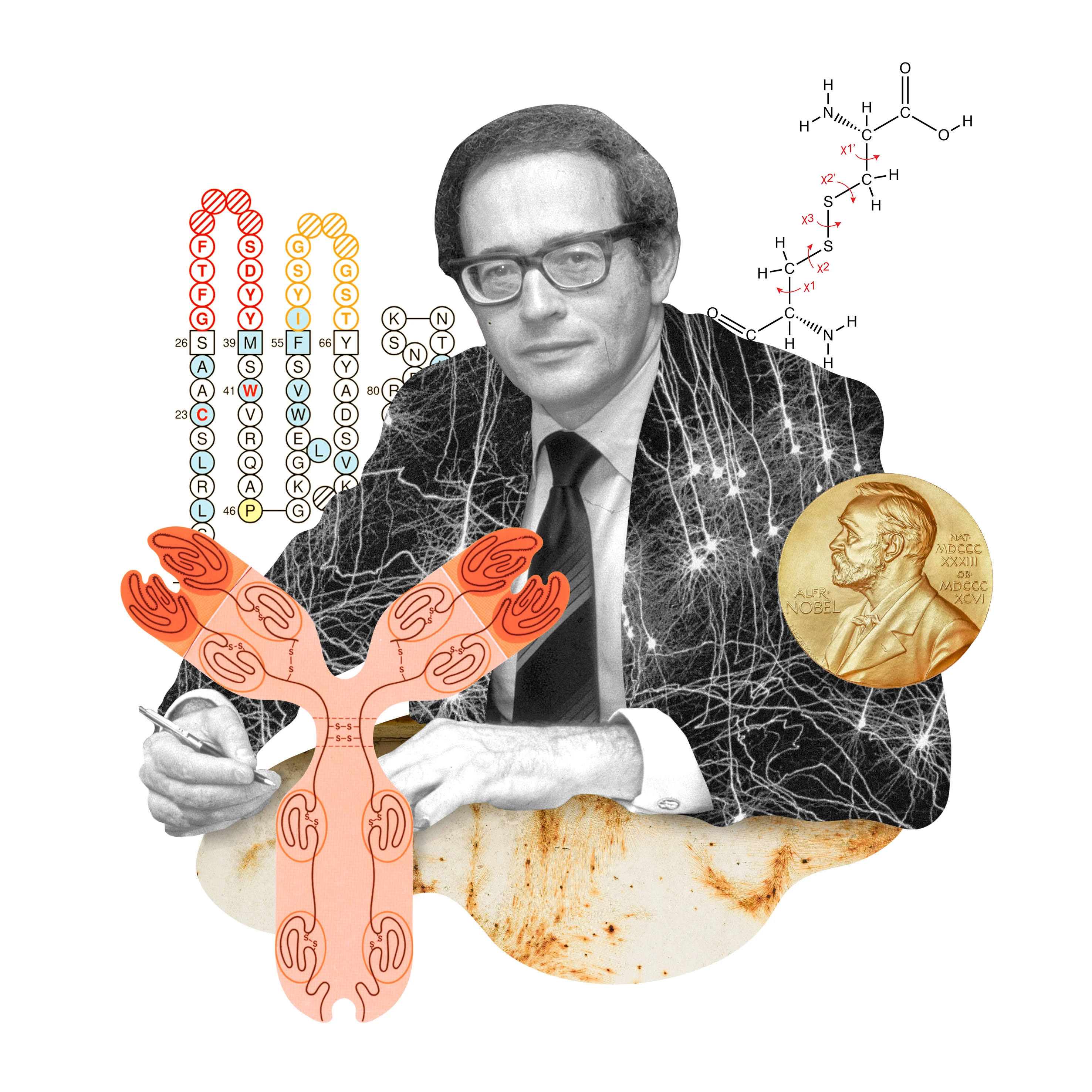 Коллажные портреты нобелевских лауреатов — Изображение №3 — Иллюстрация, Графика на Dprofile