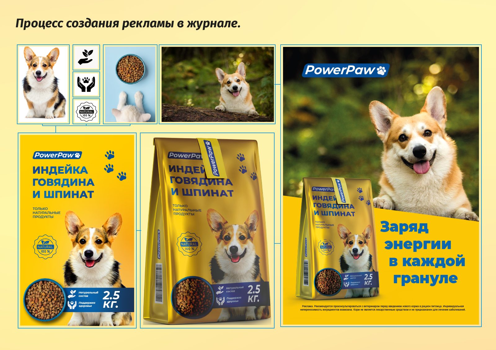 Журнал "Корги" — Изображение №4 — Графика на Dprofile