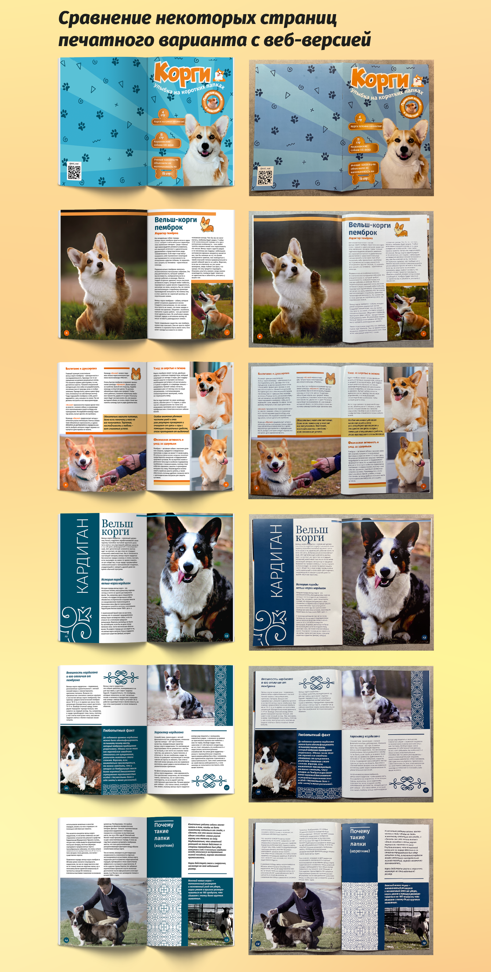 Журнал "Корги" — Изображение №5 — Графика на Dprofile