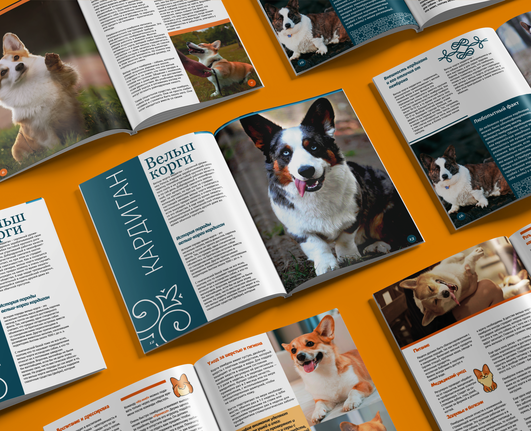 Журнал "Корги" — Графика на Dprofile