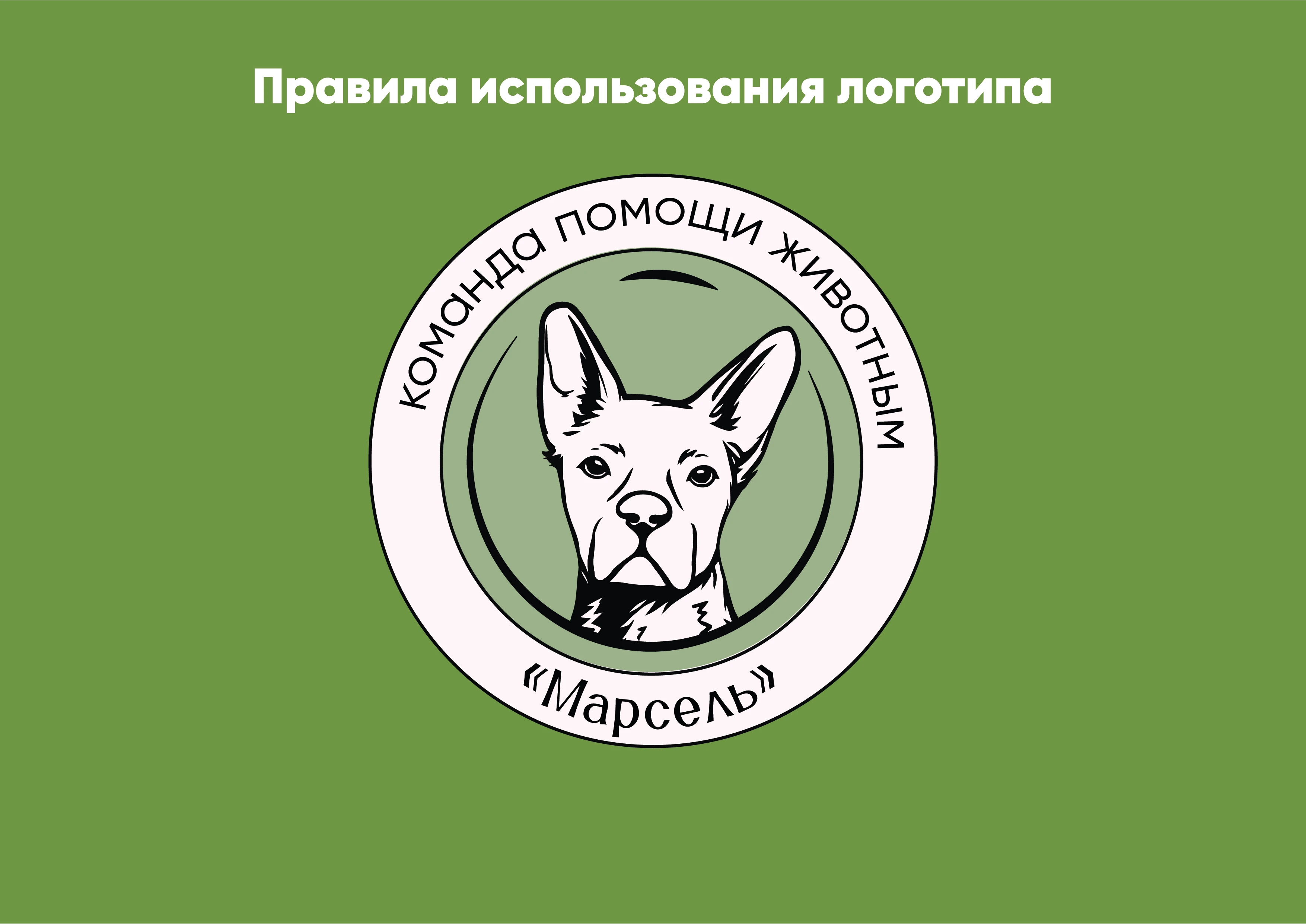 Ребрендинг для команды помощи животным "Марсель" — Изображение №1 — Интерфейсы, Брендинг на Dprofile