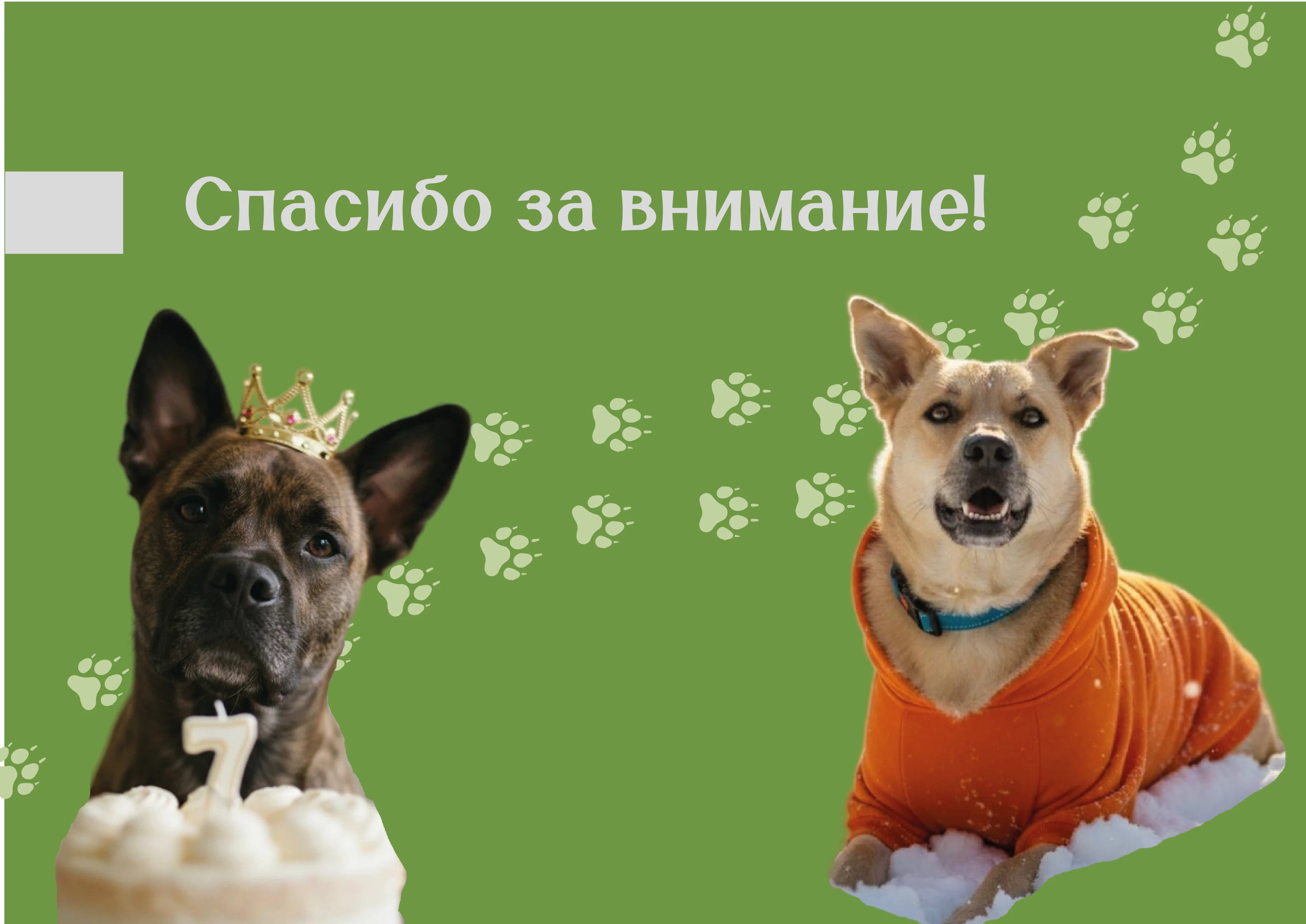 Ребрендинг для команды помощи животным "Марсель" — Изображение №5 — Интерфейсы, Брендинг на Dprofile