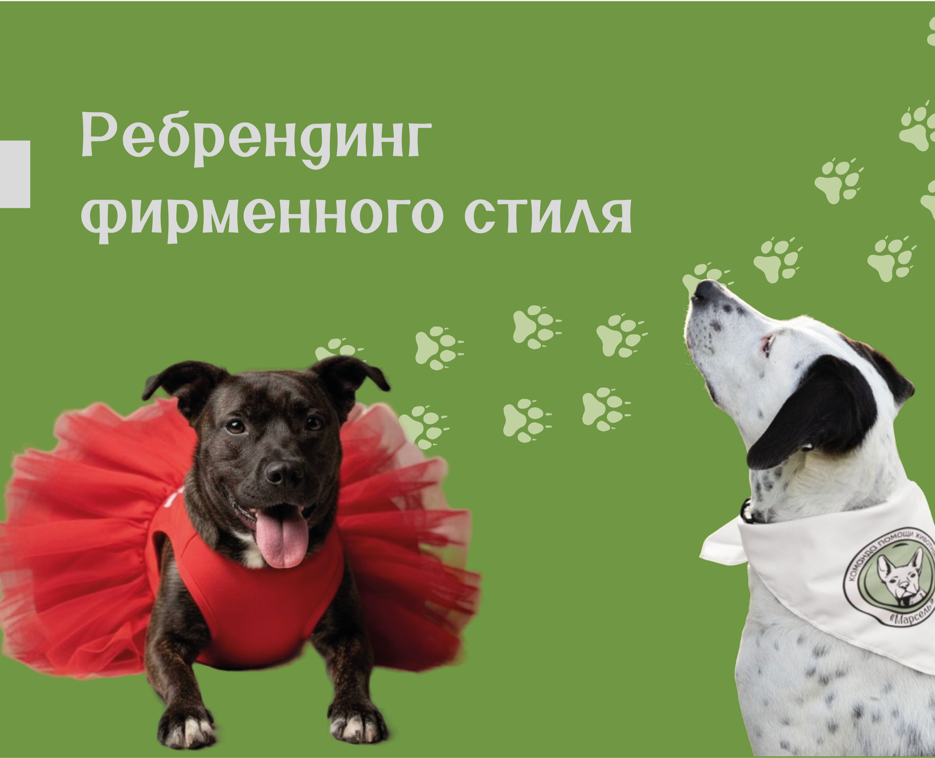 Ребрендинг для команды помощи животным "Марсель" — Интерфейсы, Брендинг на Dprofile