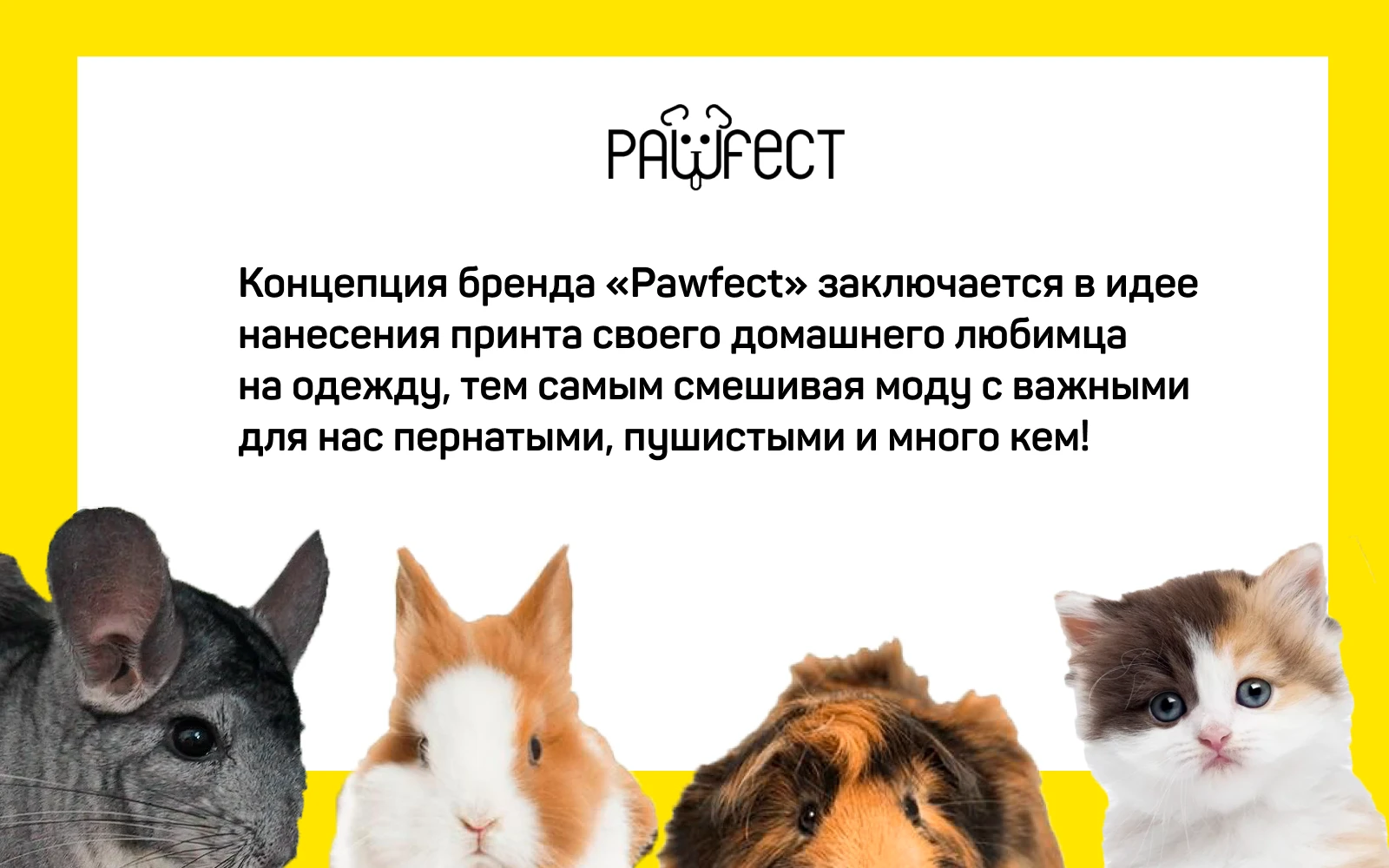 брендинг "Pawfect" — Изображение №2 — Брендинг, Графика на Dprofile