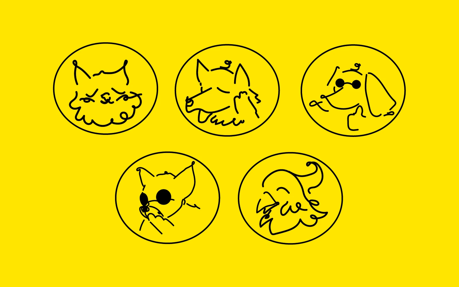 брендинг "Pawfect" — Изображение №4 — Брендинг, Графика на Dprofile