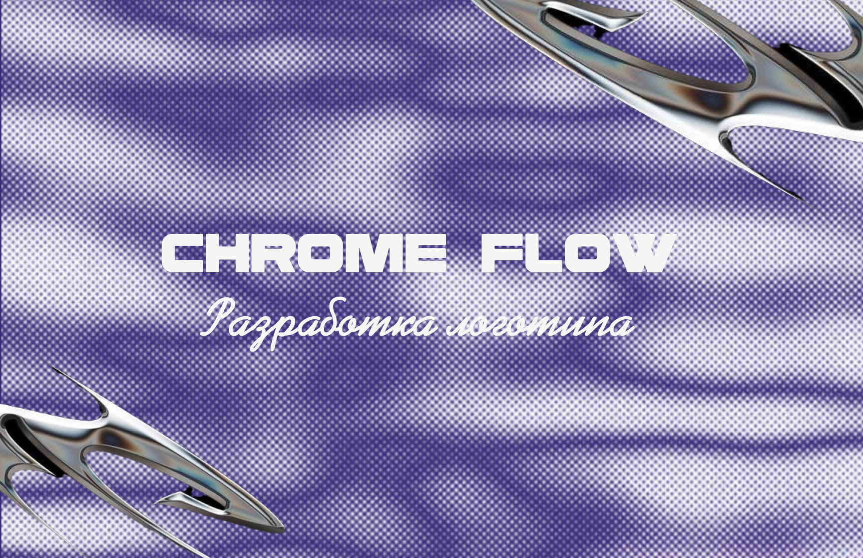 Фирменный стиль магазина одежды "Chrome  Flow" — Изображение №1 — Интерфейсы, Брендинг на Dprofile