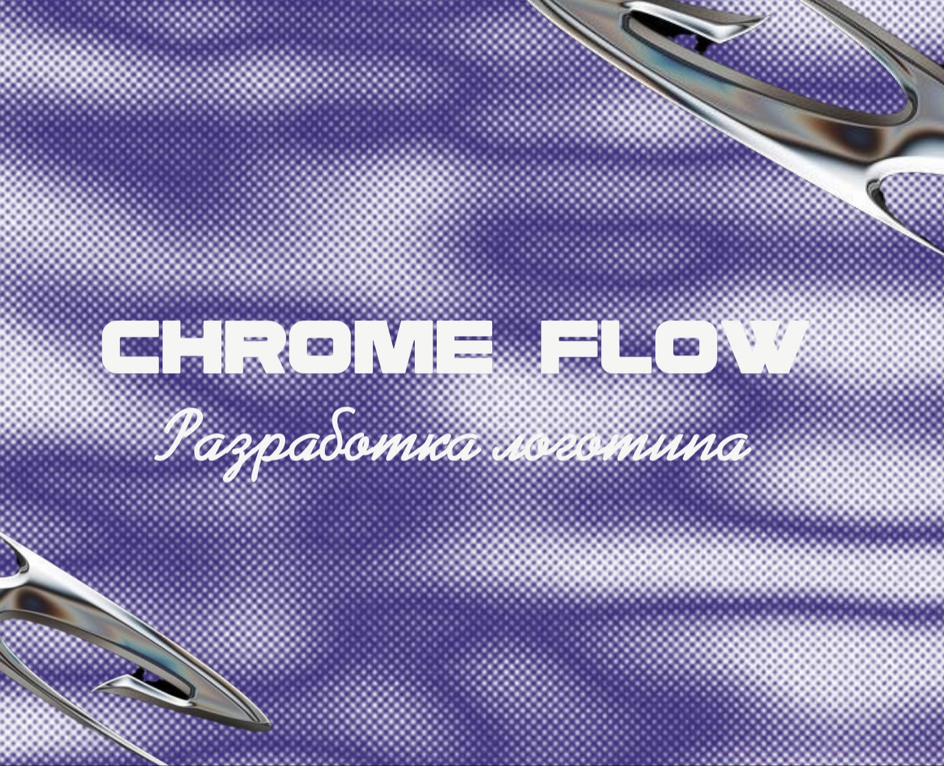 Фирменный стиль магазина одежды "Chrome  Flow" — Интерфейсы, Брендинг на Dprofile