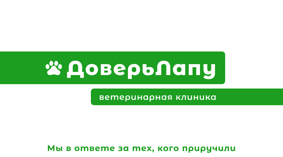 Дизайн визиток — Изображение №3 — Брендинг, Графика на Dprofile