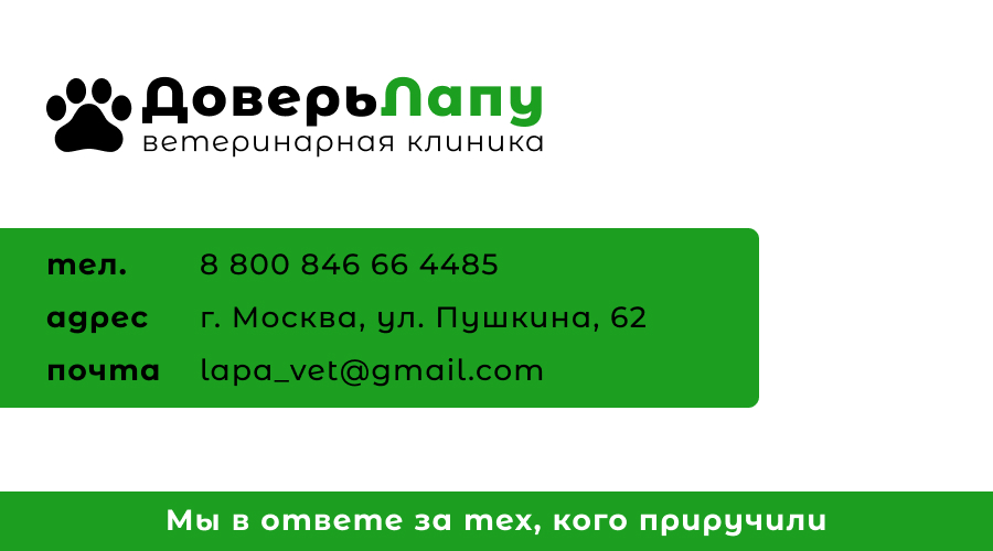 Дизайн визиток — Изображение №2 — Брендинг, Графика на Dprofile