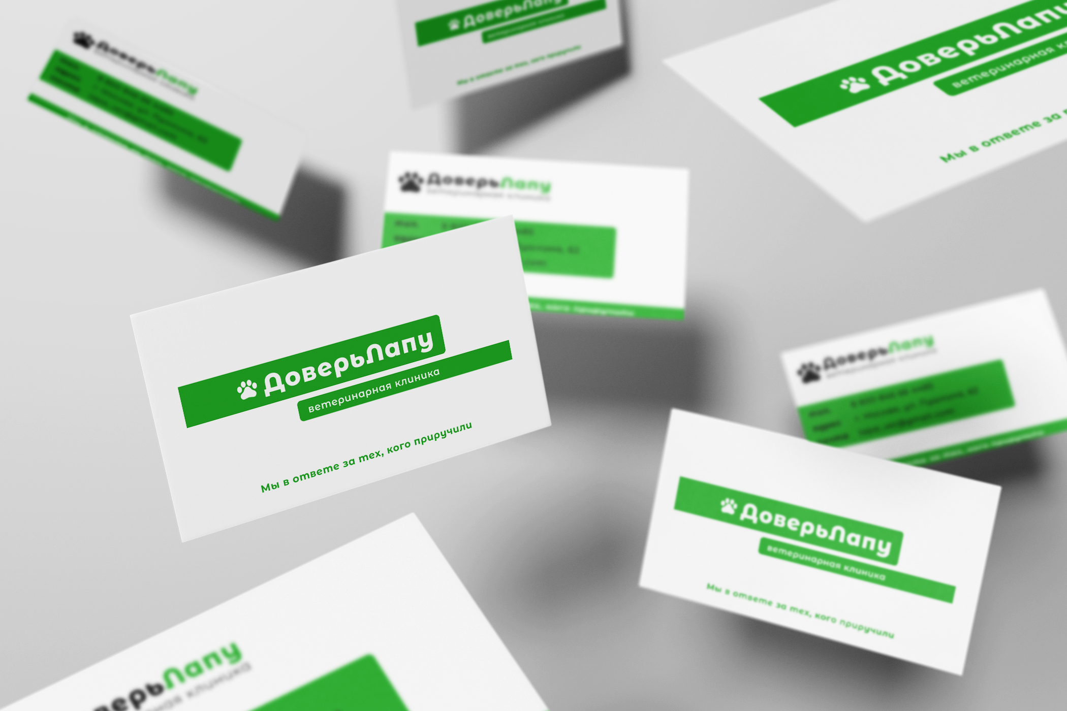 Дизайн визиток — Изображение №1 — Брендинг, Графика на Dprofile