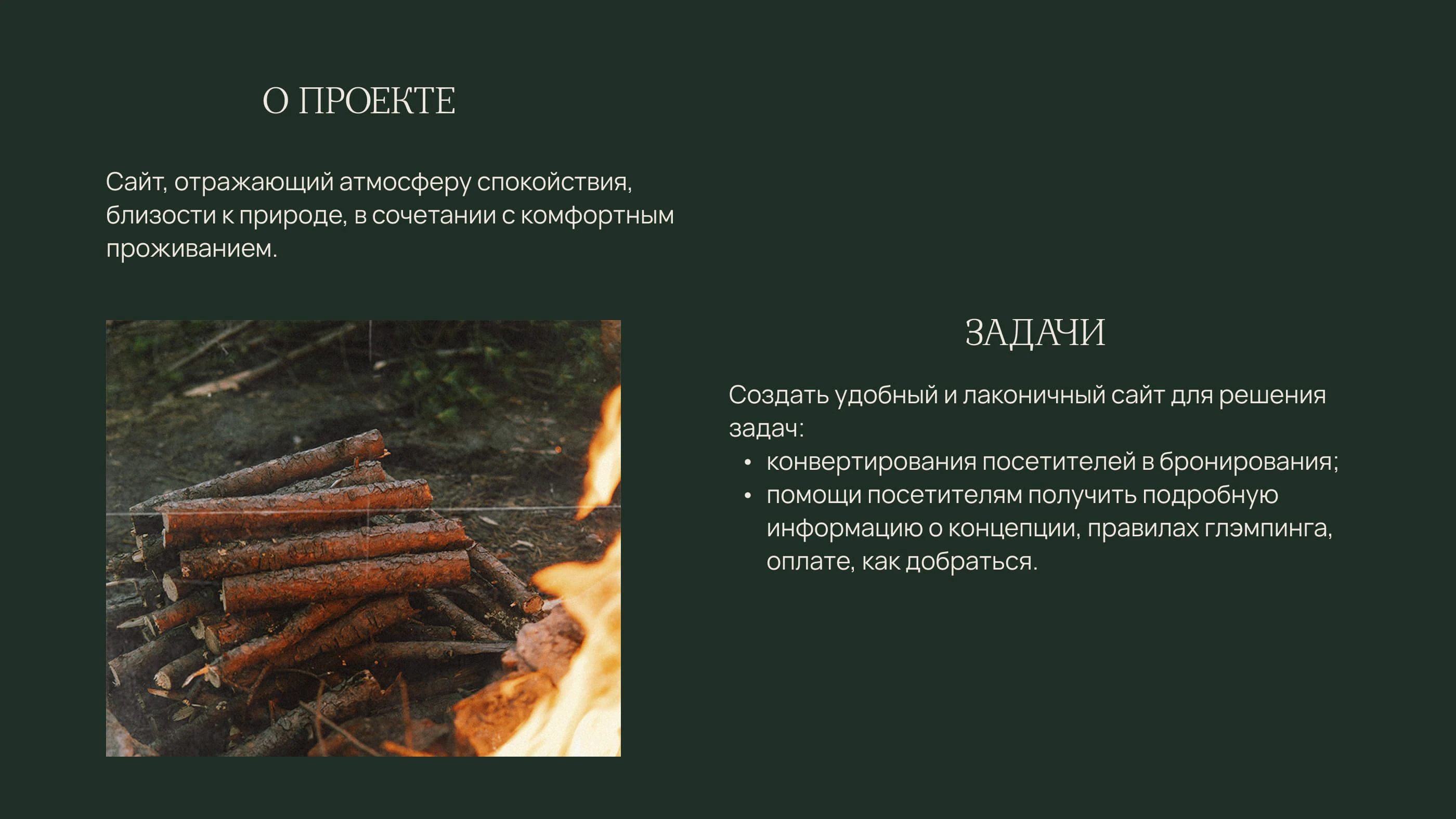 Дизайн сайта для глэмпинга в Карелии — Изображение №2 — Интерфейсы на Dprofile