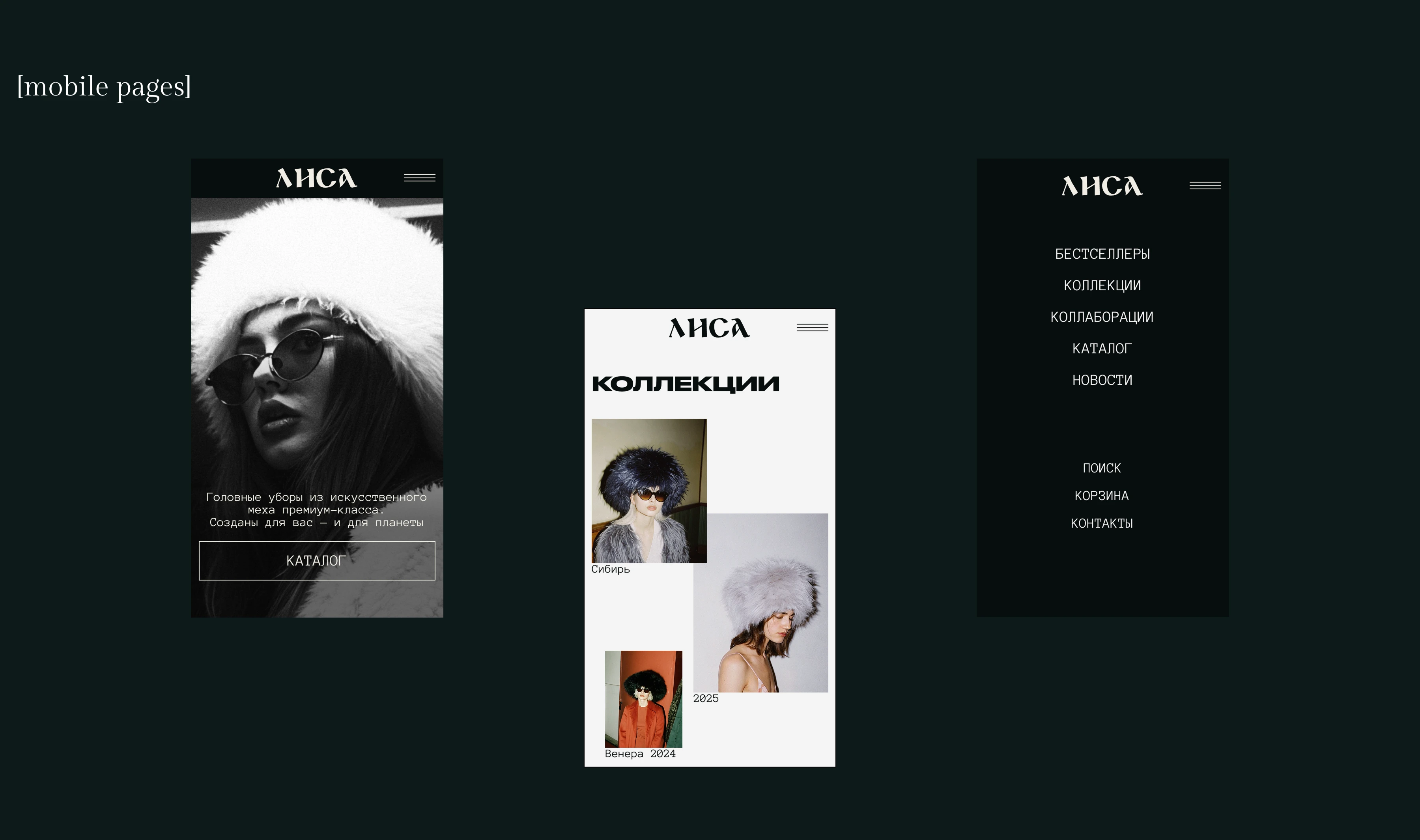 Online store of eco-fur hats — Изображение №4 — Интерфейсы, Брендинг на Dprofile