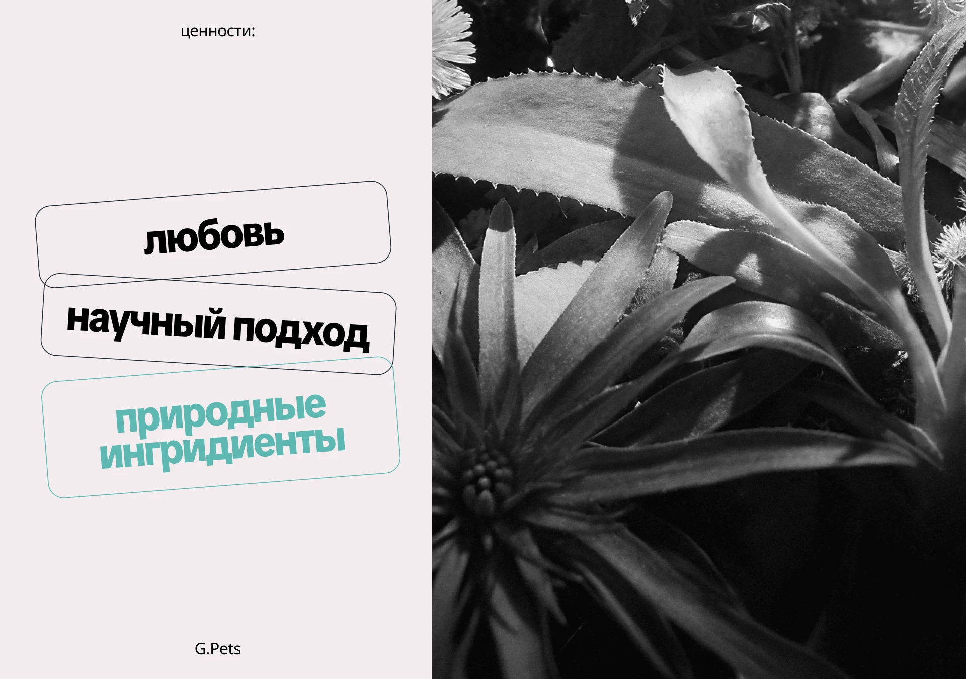 Ребрендинг косметики для животных — Изображение №3 — Брендинг на Dprofile