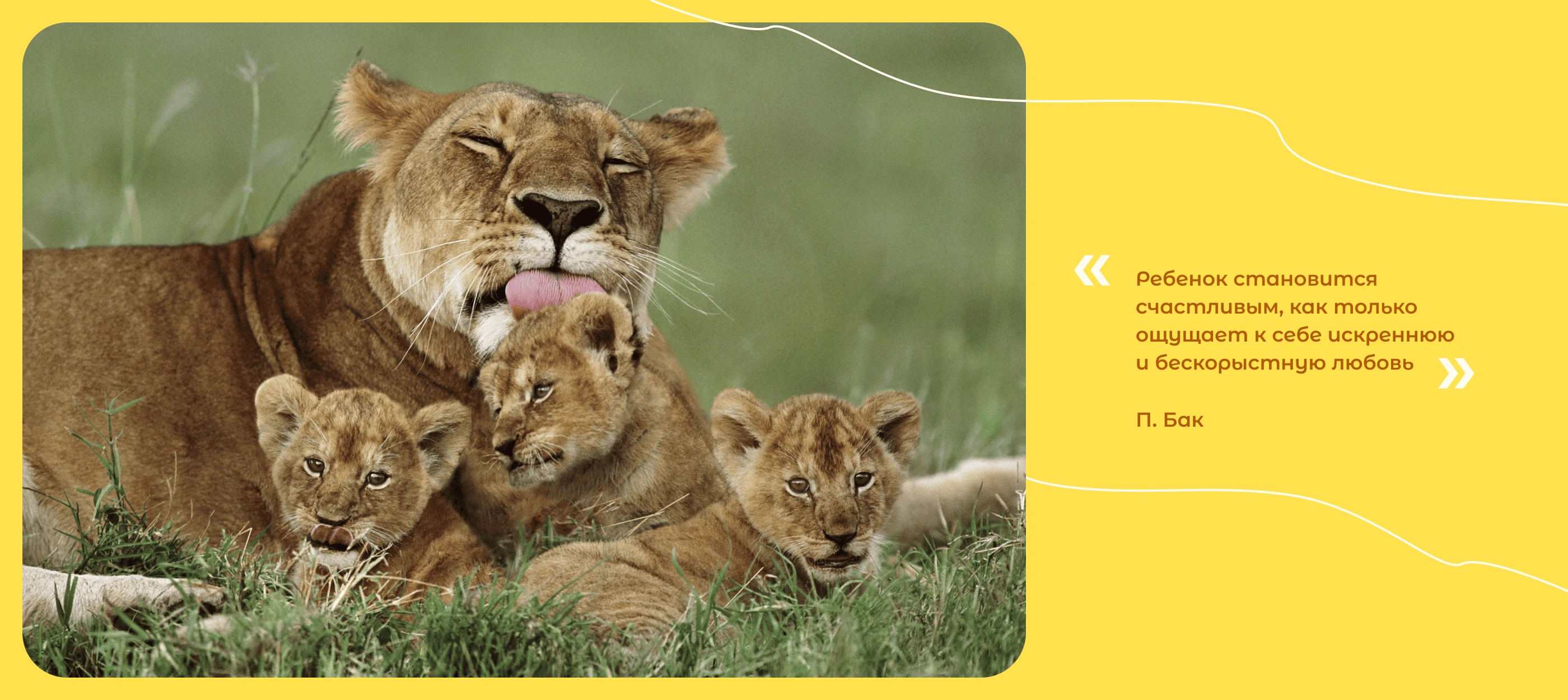 Дизайн сайта для детского клуба Лёвушка — Изображение №4 — Интерфейсы на Dprofile