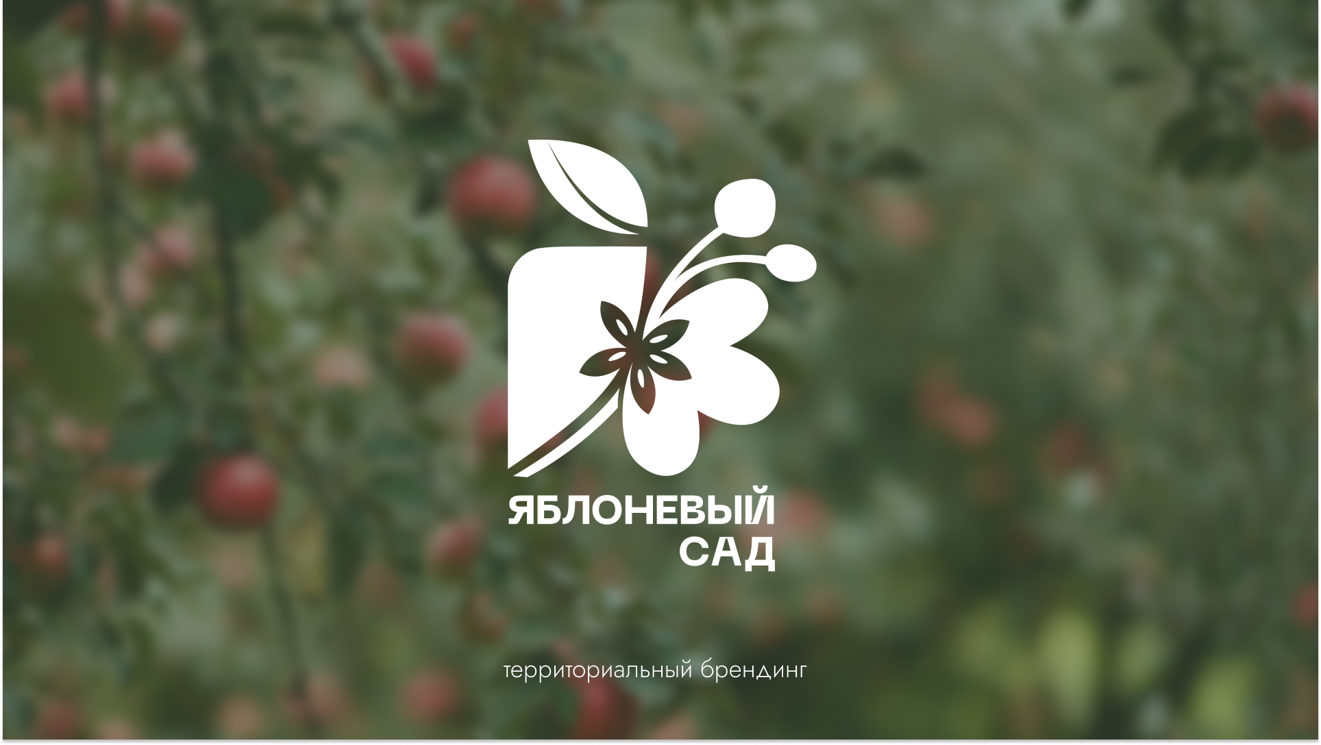 Территориальный брендинг "Яблоневый спас" — Изображение №1 — Брендинг на Dprofile