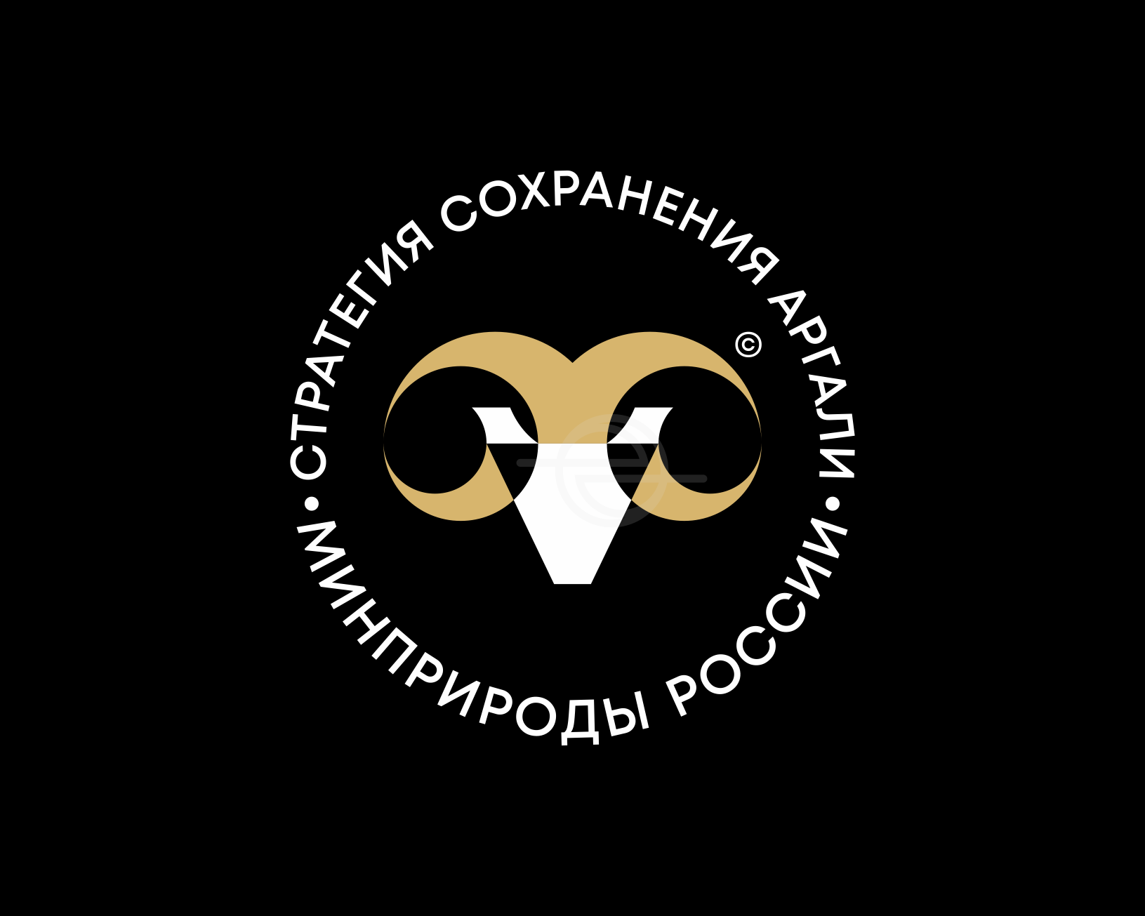 логотип для Стратегии сохранения аргали Минприроды РФ — Изображение №1 — Брендинг на Dprofile