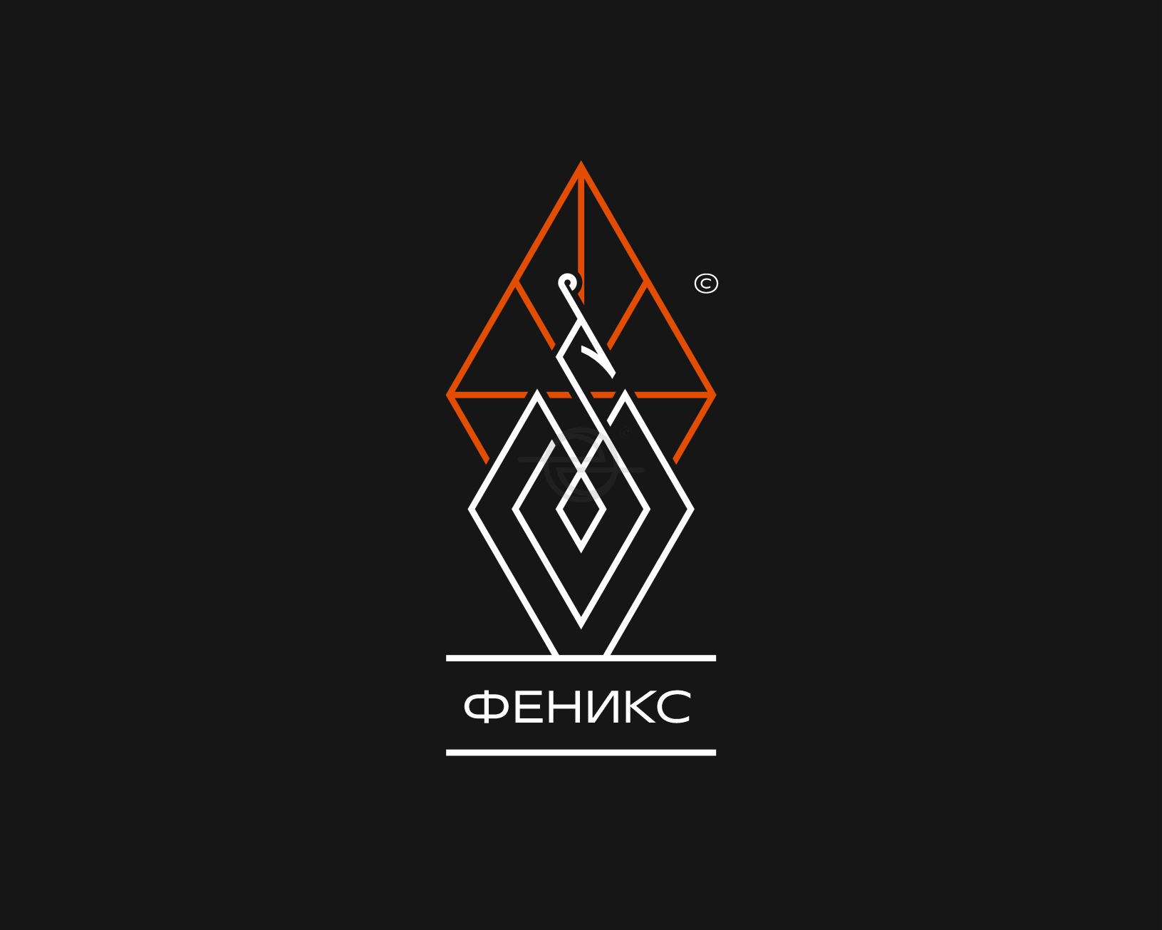 Феникс — Изображение №1 — Брендинг на Dprofile