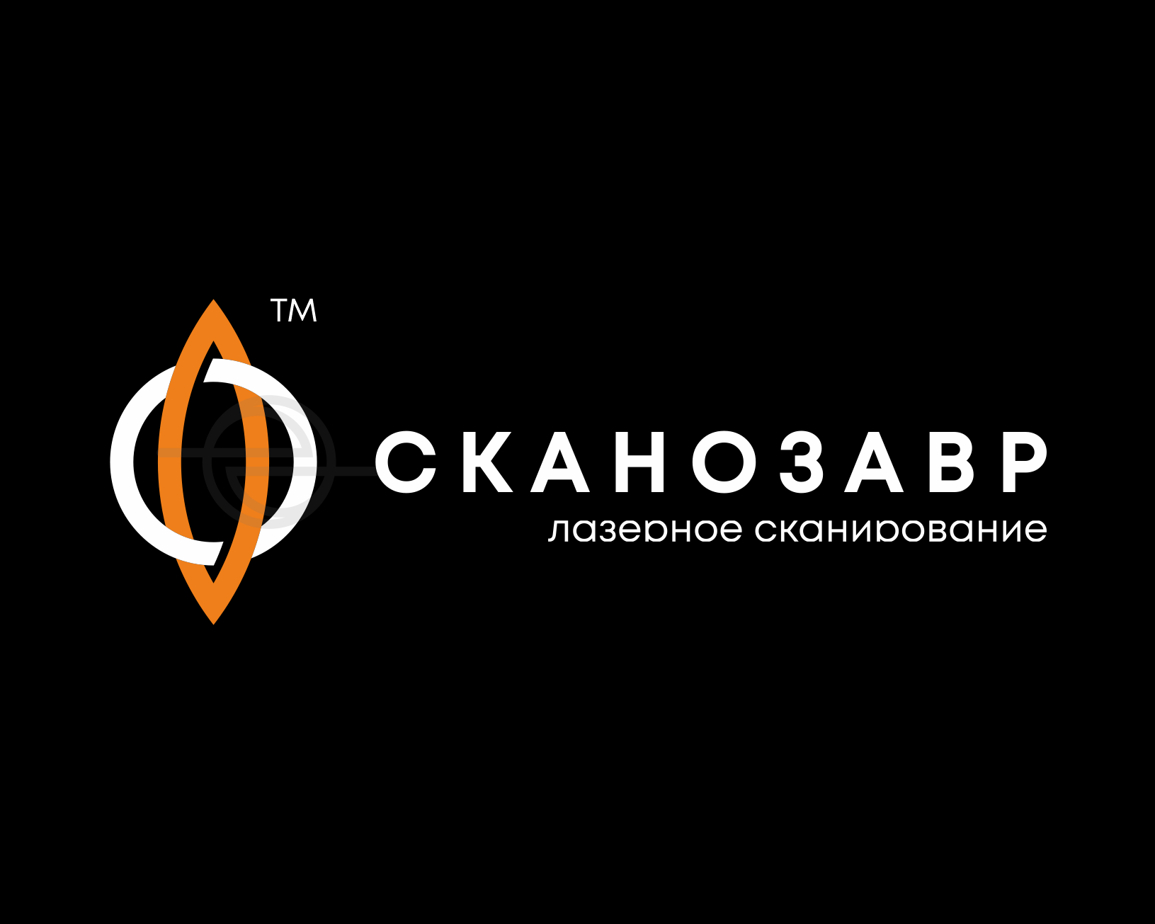 Сканозавр — Изображение №2 — Брендинг на Dprofile