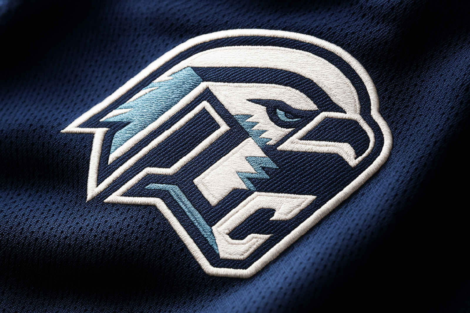 concept rebranding|hc sokol — Изображение №1 — Брендинг на Dprofile