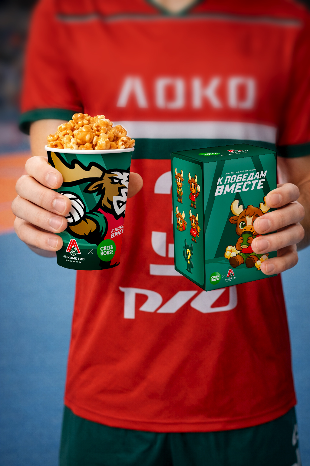 Green House х ВК Локомотив — Изображение №13 — Брендинг на Dprofile
