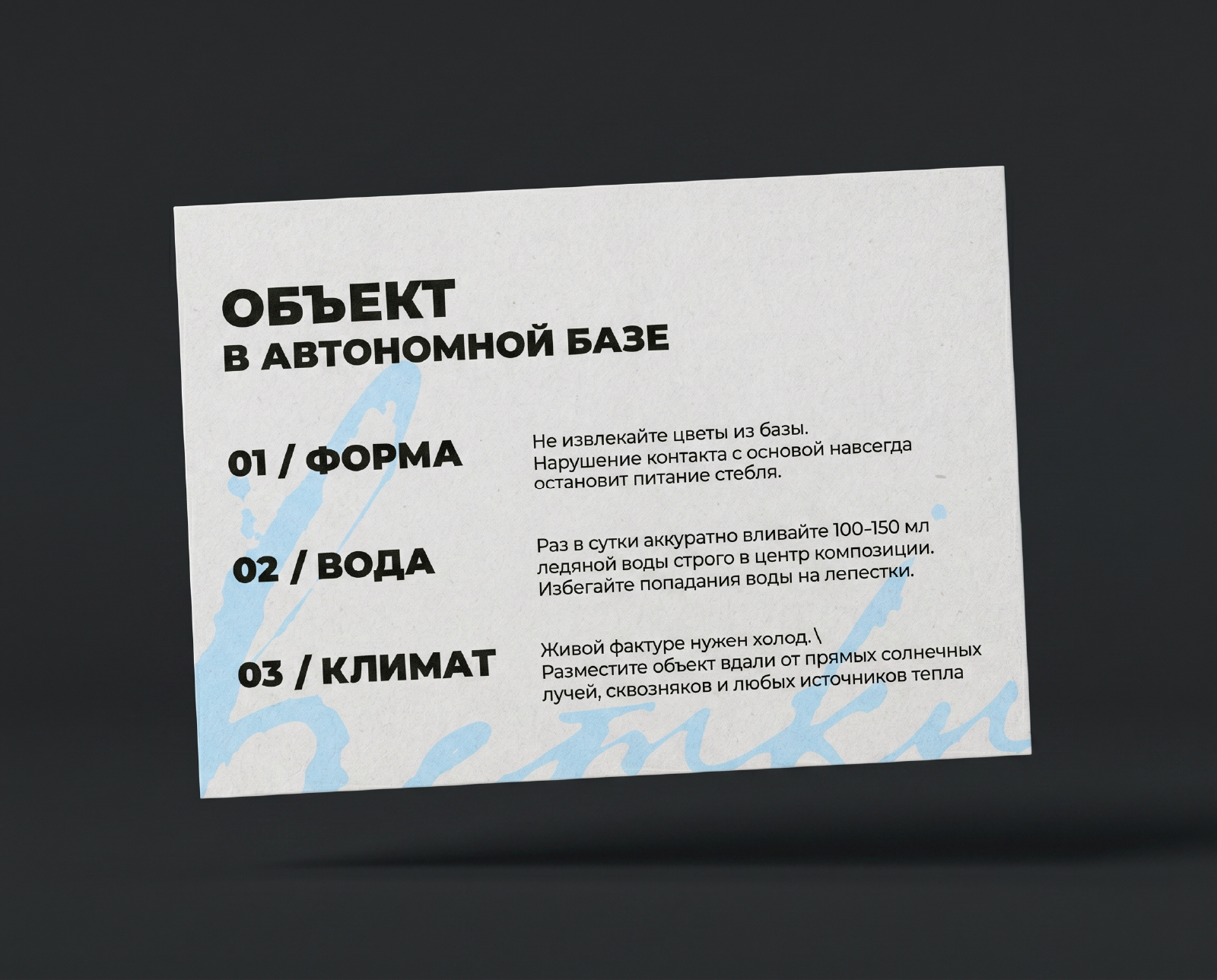 ВЕТКИ | Brand Identity | Брендинг — Изображение №11 — Брендинг на Dprofile