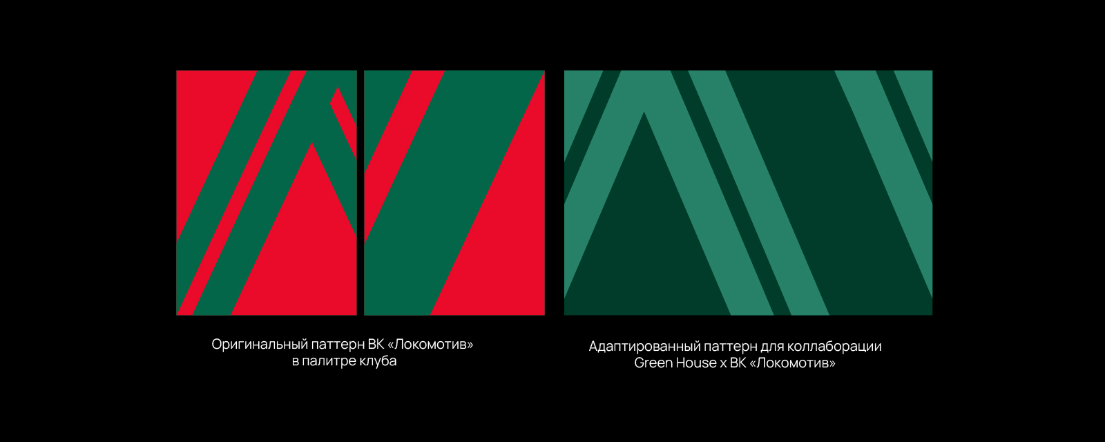 Green House х ВК Локомотив — Изображение №6 — Брендинг на Dprofile