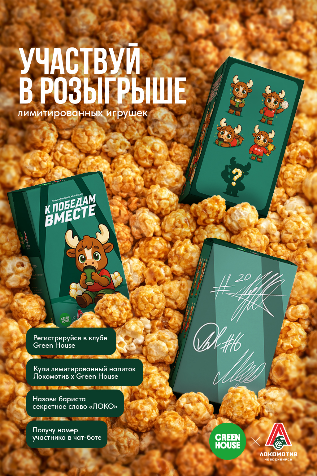 Green House х ВК Локомотив — Изображение №23 — Брендинг на Dprofile