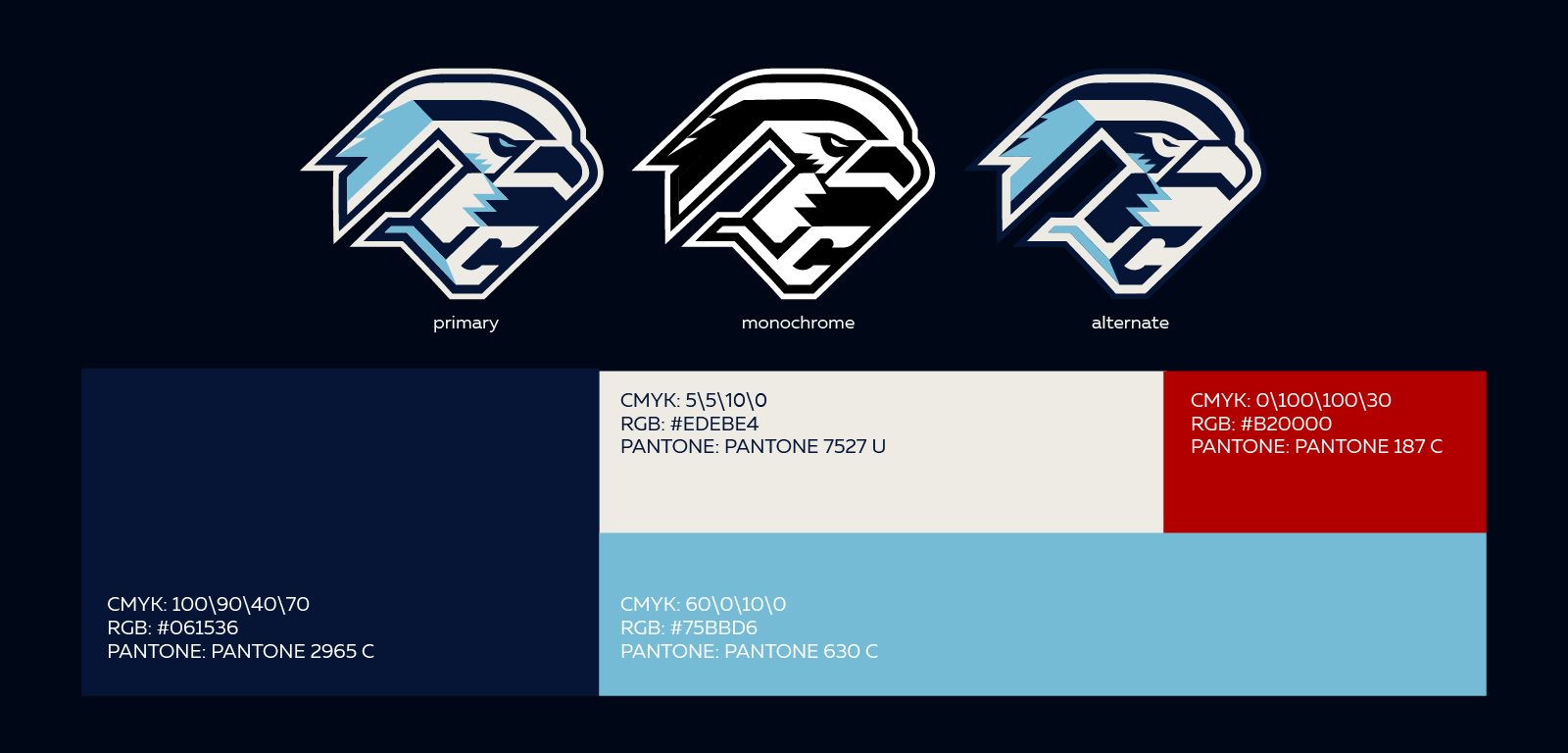 concept rebranding|hc sokol — Изображение №4 — Брендинг на Dprofile