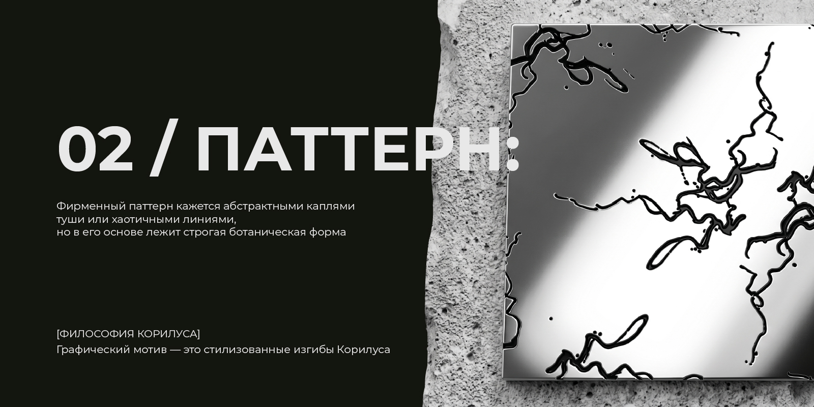 ВЕТКИ | Brand Identity | Брендинг — Изображение №8 — Брендинг на Dprofile