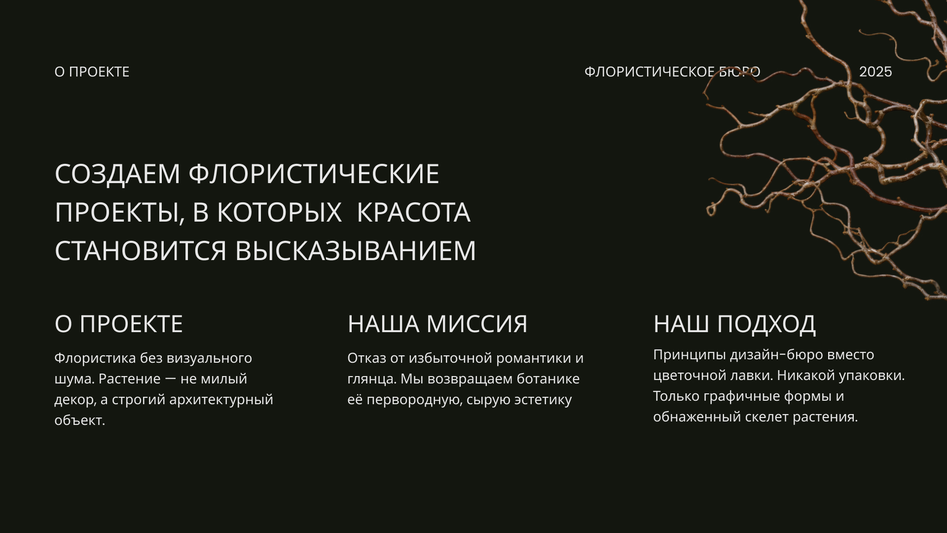ВЕТКИ | Brand Identity | Брендинг — Изображение №2 — Брендинг на Dprofile