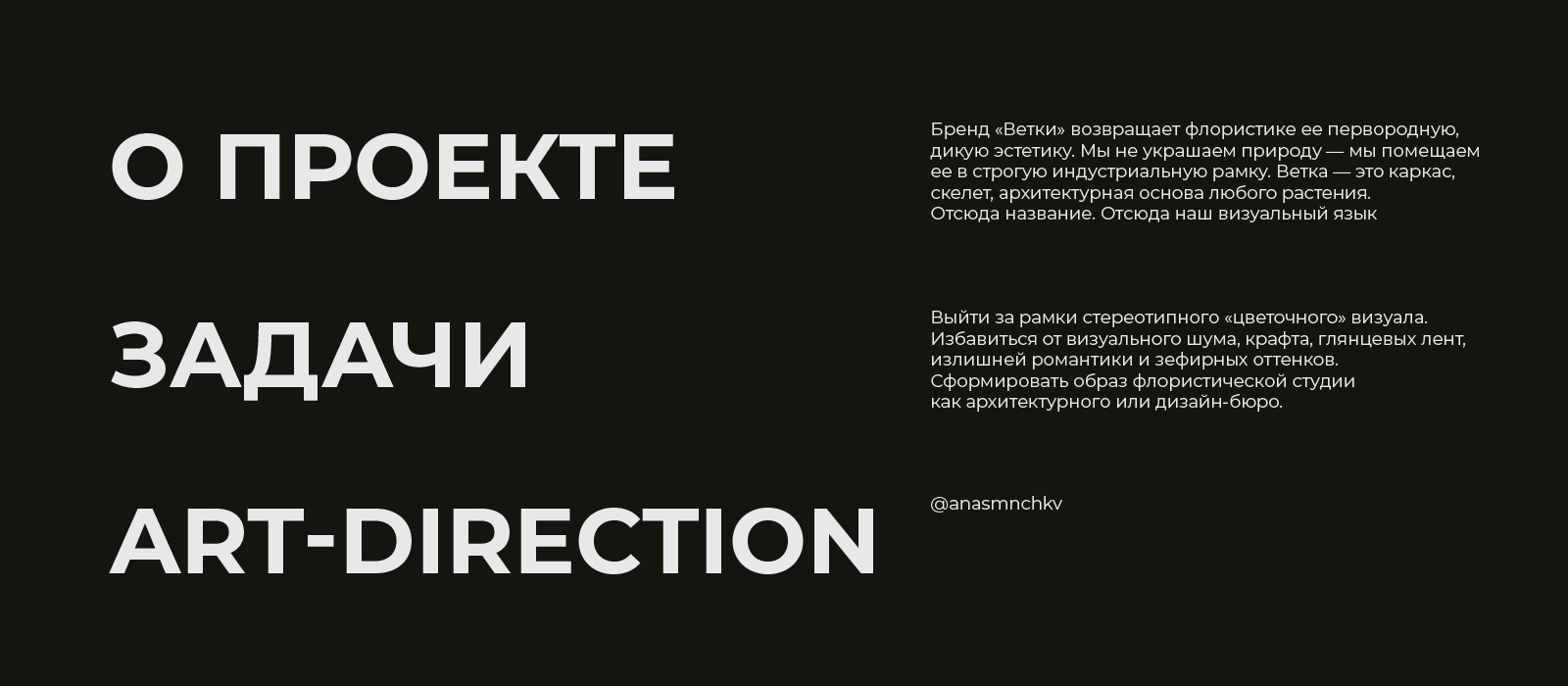 ВЕТКИ | Brand Identity | Брендинг — Изображение №2 — Брендинг на Dprofile