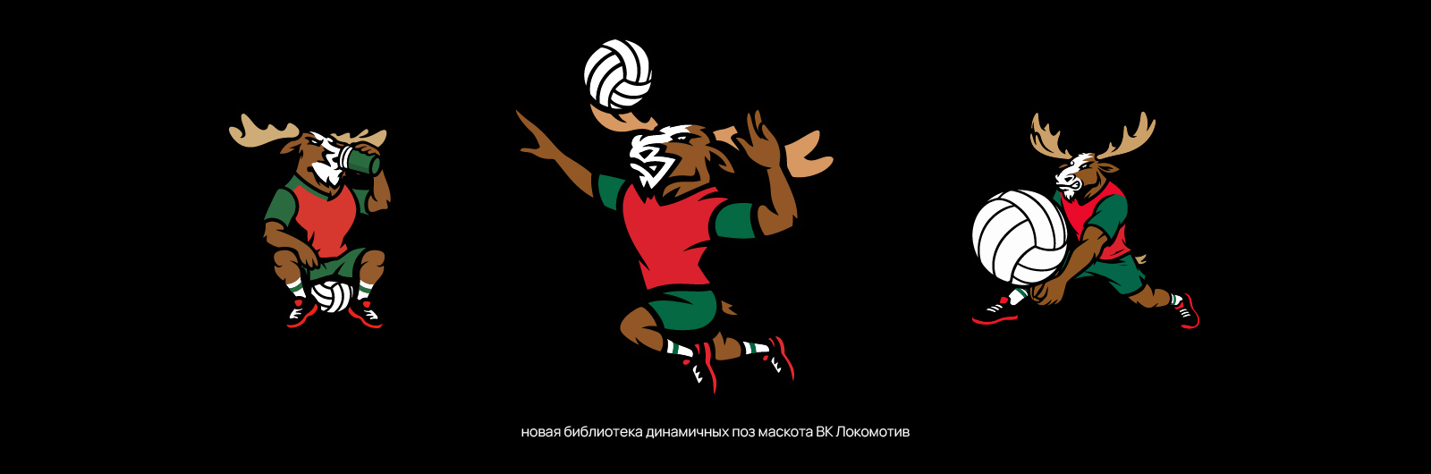 Green House х ВК Локомотив — Изображение №4 — Брендинг на Dprofile