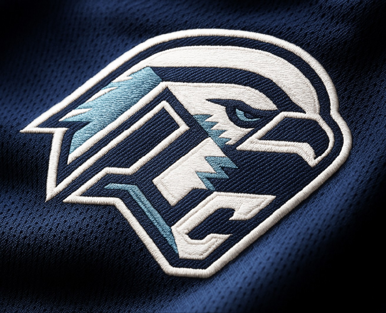 concept rebranding|hc sokol на Dprofile