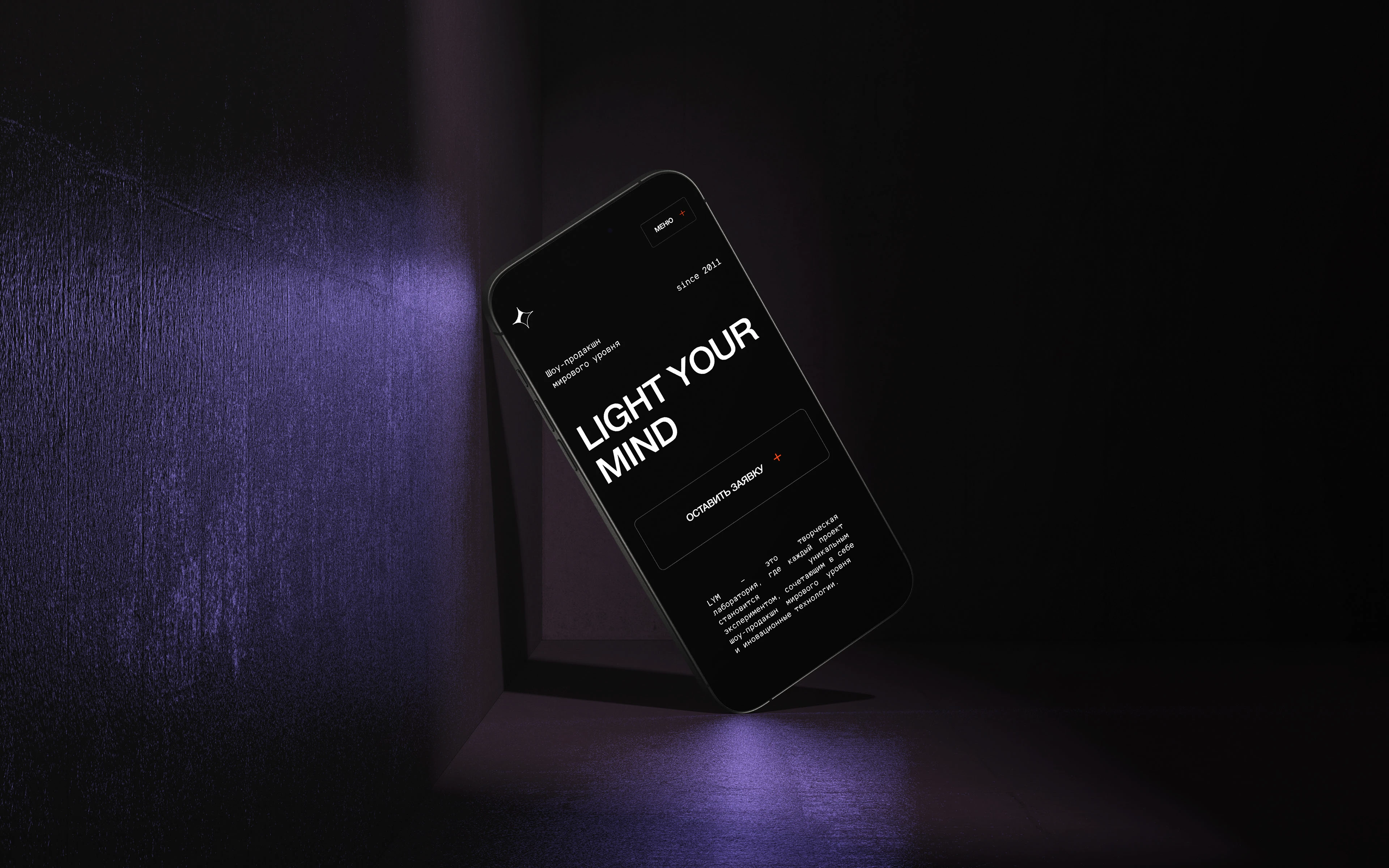 LYM — Брендинг для креативного продакшена — Изображение №7 — Интерфейсы, Брендинг на Dprofile