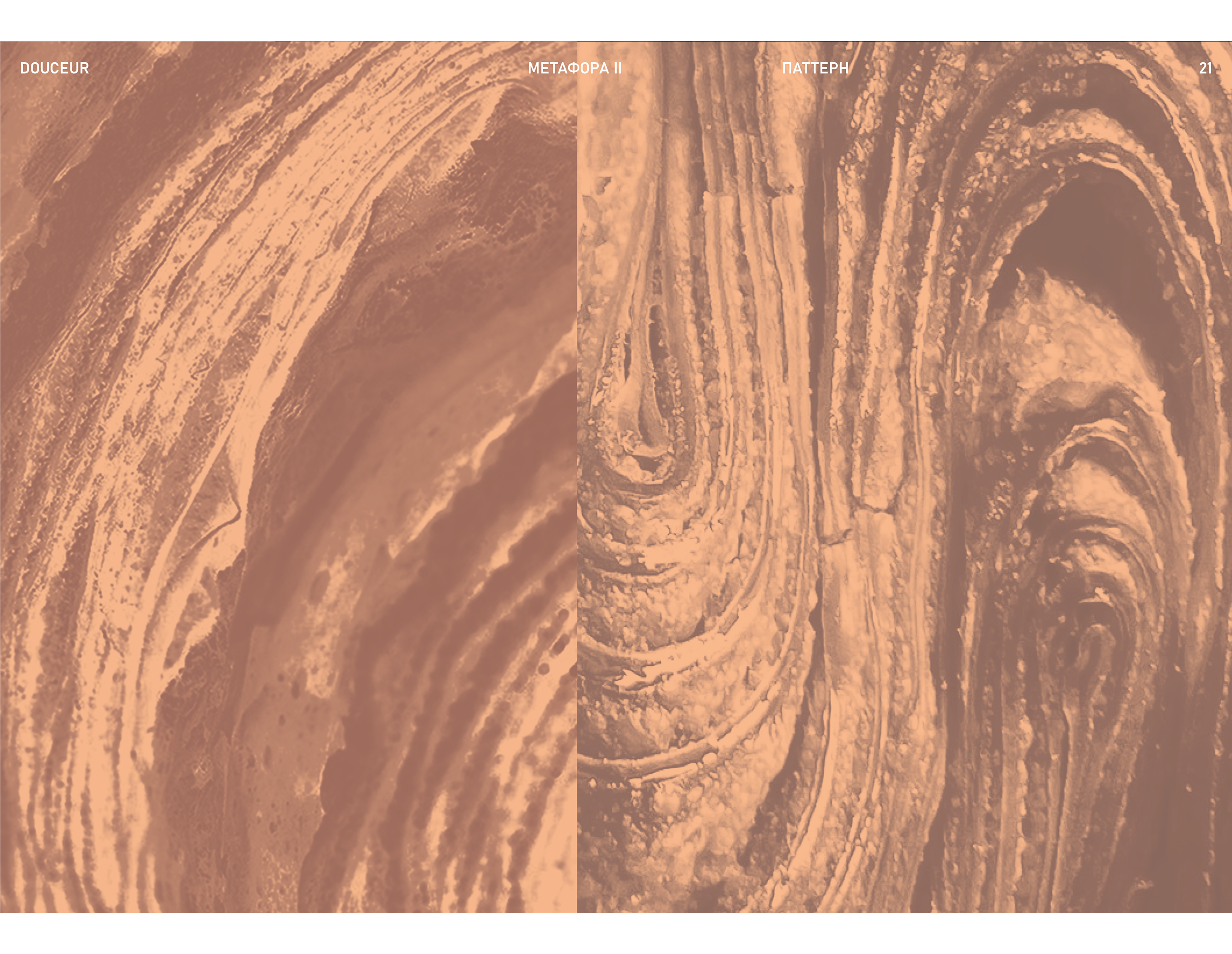 Douceur — Изображение №21 — Брендинг, Графика на Dprofile